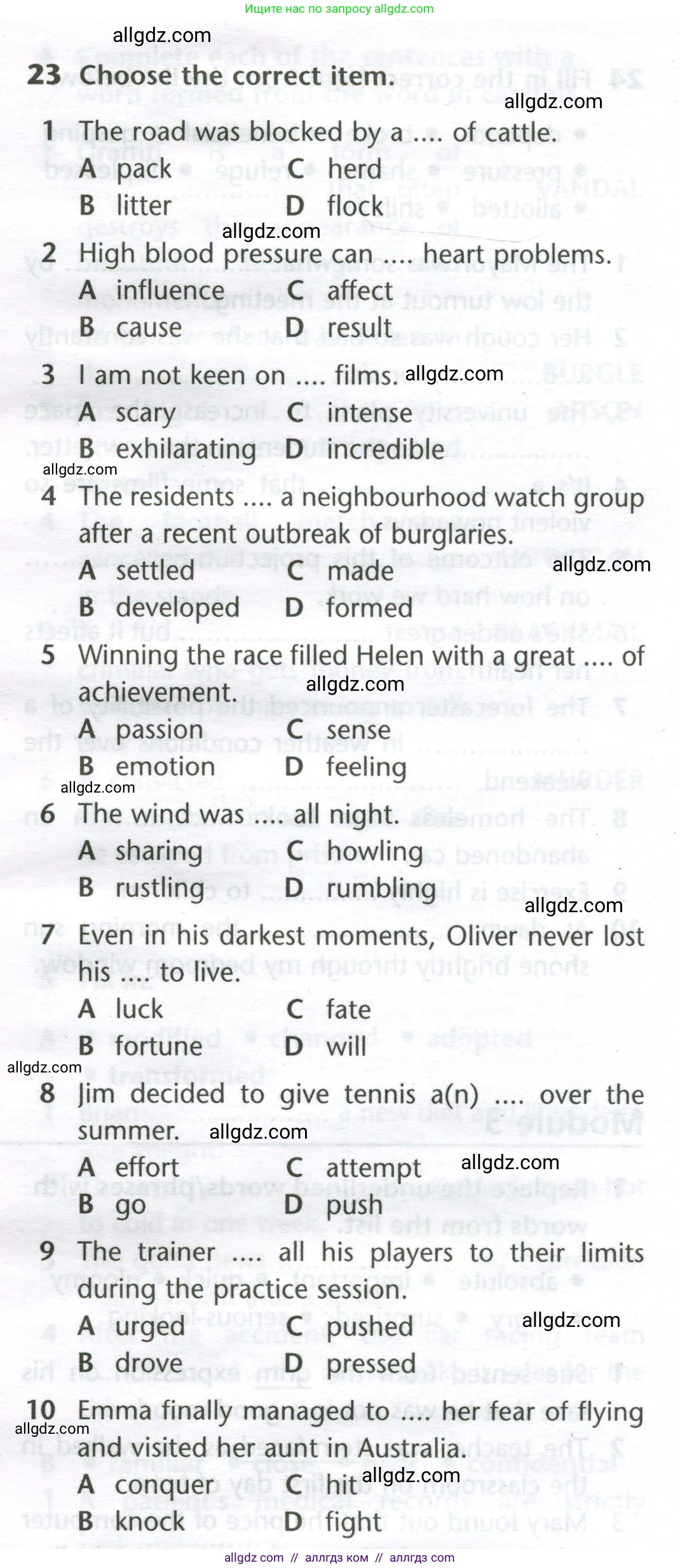 Английский язык (english), 11 класс Лексический практикум (vocabulary practice), авторы: Баранова Ксения Михайловна (Baranova Ksenia), Дули Дженни (Dooley Jenny), Копылова Виктория Викторовна (Kopylova Victoria), Мильруд Радислав Петрович (Millrood Radislav), Эванс Вирджиния (Evans Virginia), издательство Просвещение, Москва, 2019, серого цвета, страница 15, номер 23, Условие