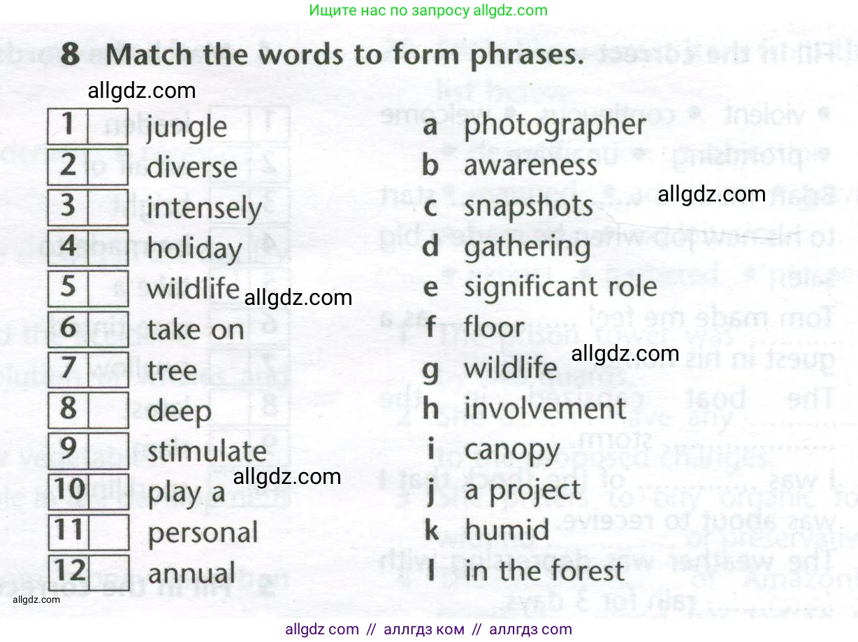 Английский язык (english), 11 класс Лексический практикум (vocabulary practice), авторы: Баранова Ксения Михайловна (Baranova Ksenia), Дули Дженни (Dooley Jenny), Копылова Виктория Викторовна (Kopylova Victoria), Мильруд Радислав Петрович (Millrood Radislav), Эванс Вирджиния (Evans Virginia), издательство Просвещение, Москва, 2019, серого цвета, страница 30, номер 8, Условие