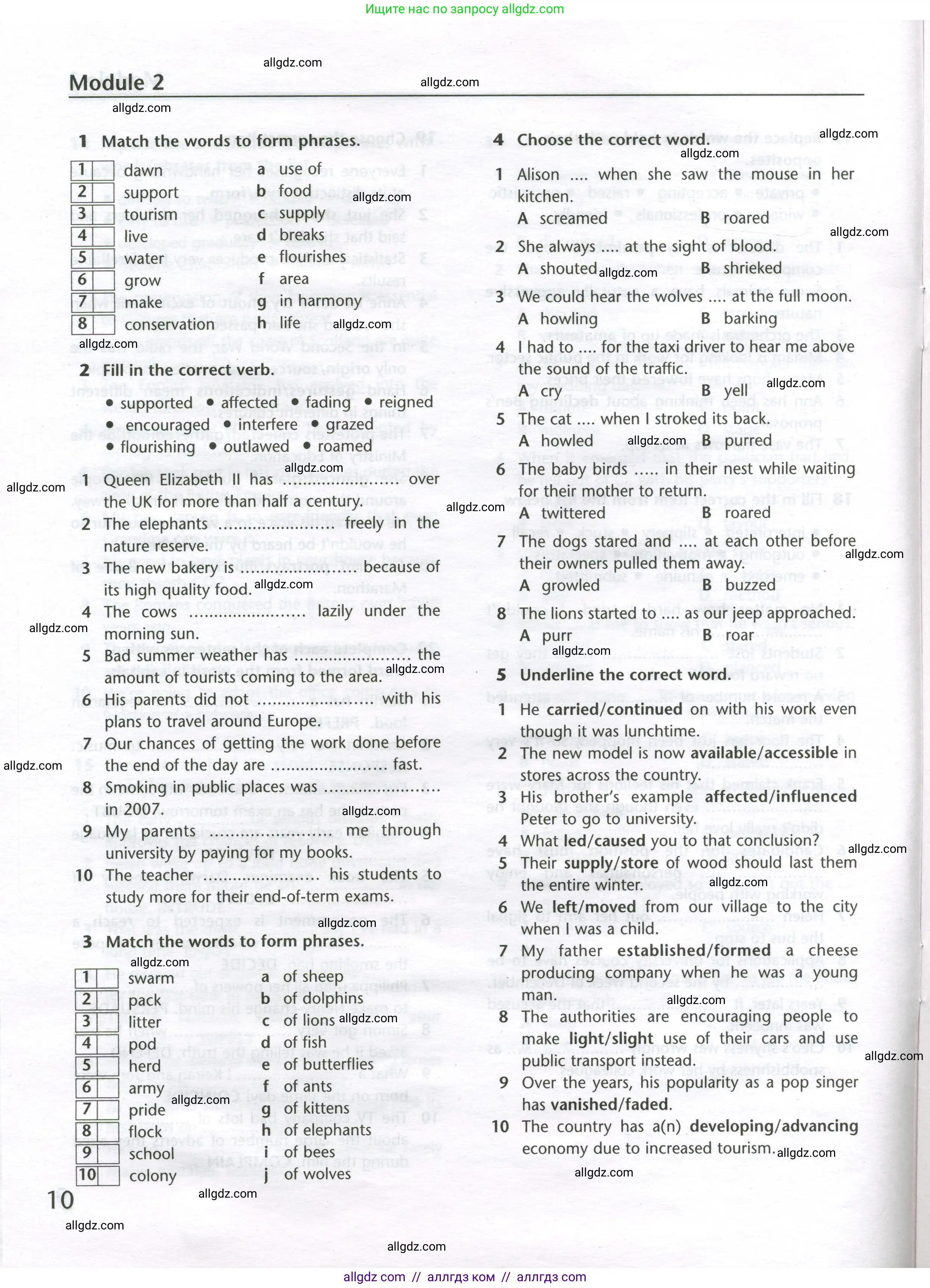 Английский язык (english), 11 класс Лексический практикум (vocabulary practice), авторы: Баранова Ксения Михайловна (Baranova Ksenia), Дули Дженни (Dooley Jenny), Копылова Виктория Викторовна (Kopylova Victoria), Мильруд Радислав Петрович (Millrood Radislav), Эванс Вирджиния (Evans Virginia), издательство Просвещение, Москва, 2019, серого цвета, страница 10