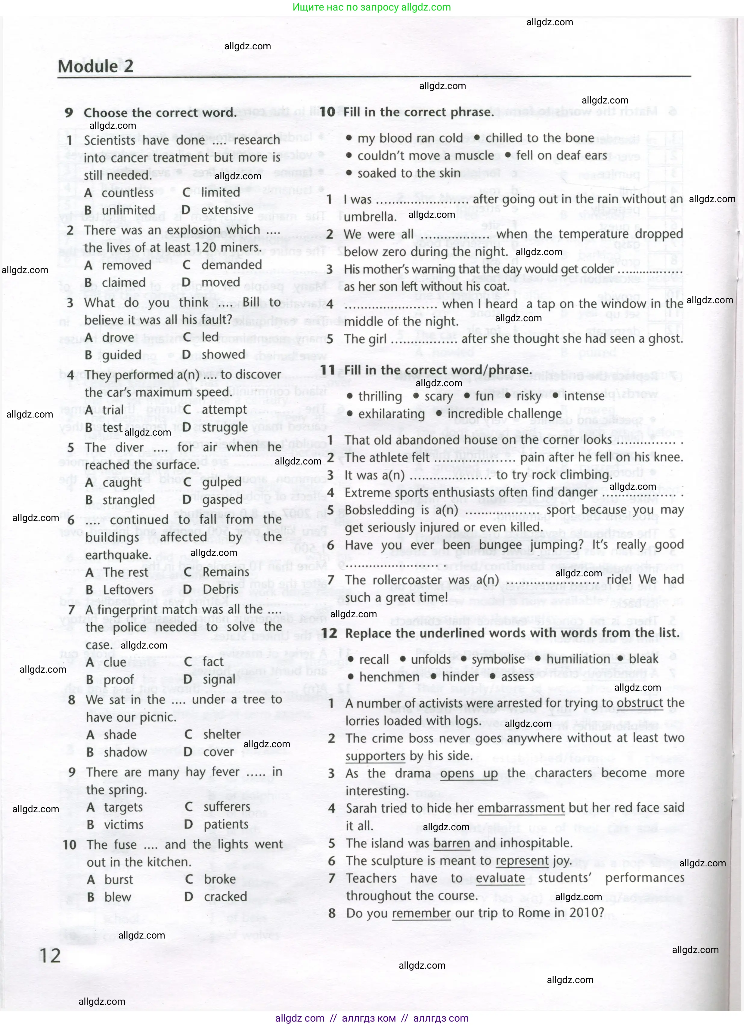 Английский язык (english), 11 класс Лексический практикум (vocabulary practice), авторы: Баранова Ксения Михайловна (Baranova Ksenia), Дули Дженни (Dooley Jenny), Копылова Виктория Викторовна (Kopylova Victoria), Мильруд Радислав Петрович (Millrood Radislav), Эванс Вирджиния (Evans Virginia), издательство Просвещение, Москва, 2019, серого цвета, страница 12