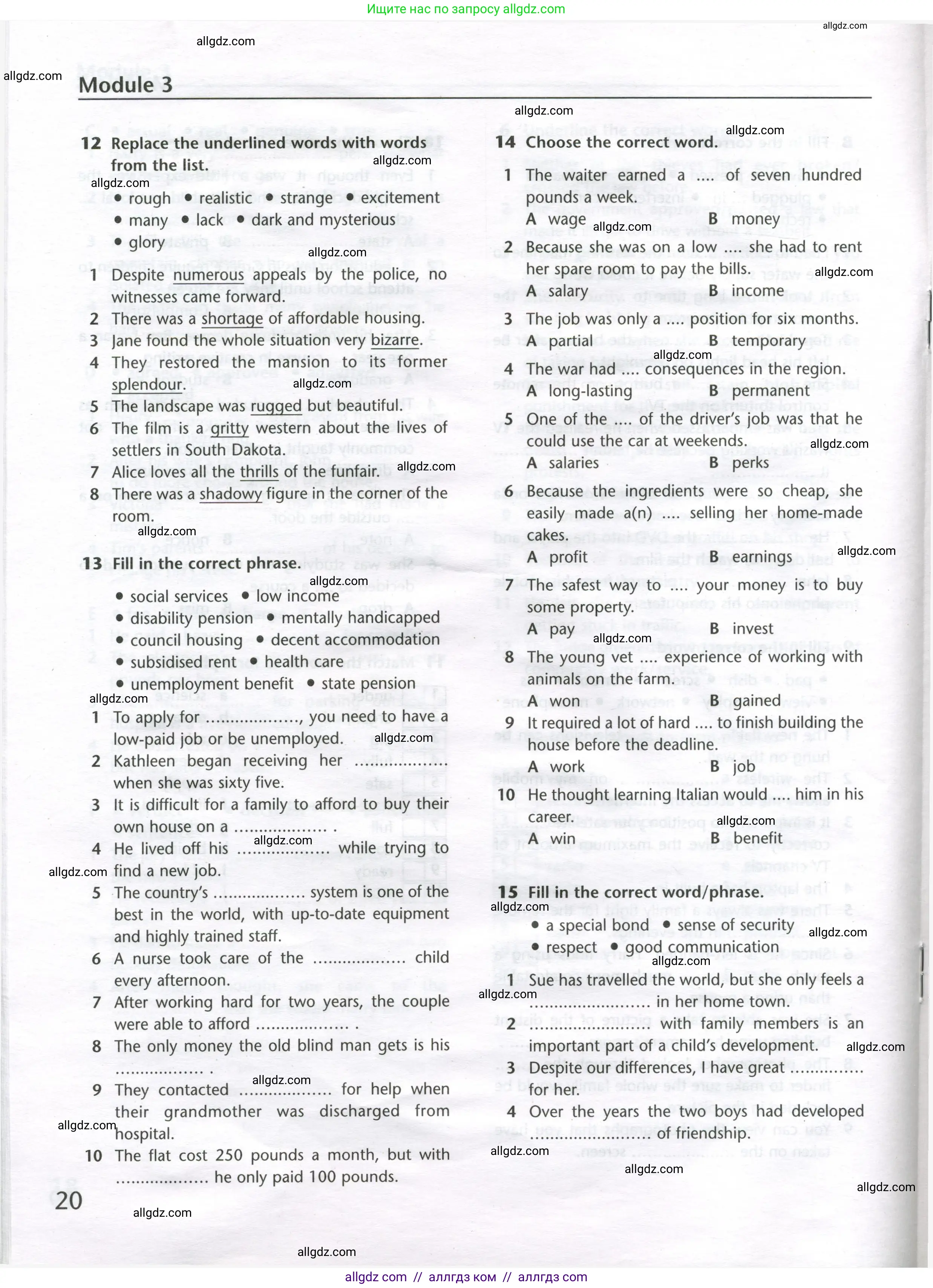 Английский язык (english), 11 класс Лексический практикум (vocabulary practice), авторы: Баранова Ксения Михайловна (Baranova Ksenia), Дули Дженни (Dooley Jenny), Копылова Виктория Викторовна (Kopylova Victoria), Мильруд Радислав Петрович (Millrood Radislav), Эванс Вирджиния (Evans Virginia), издательство Просвещение, Москва, 2019, серого цвета, страница 20