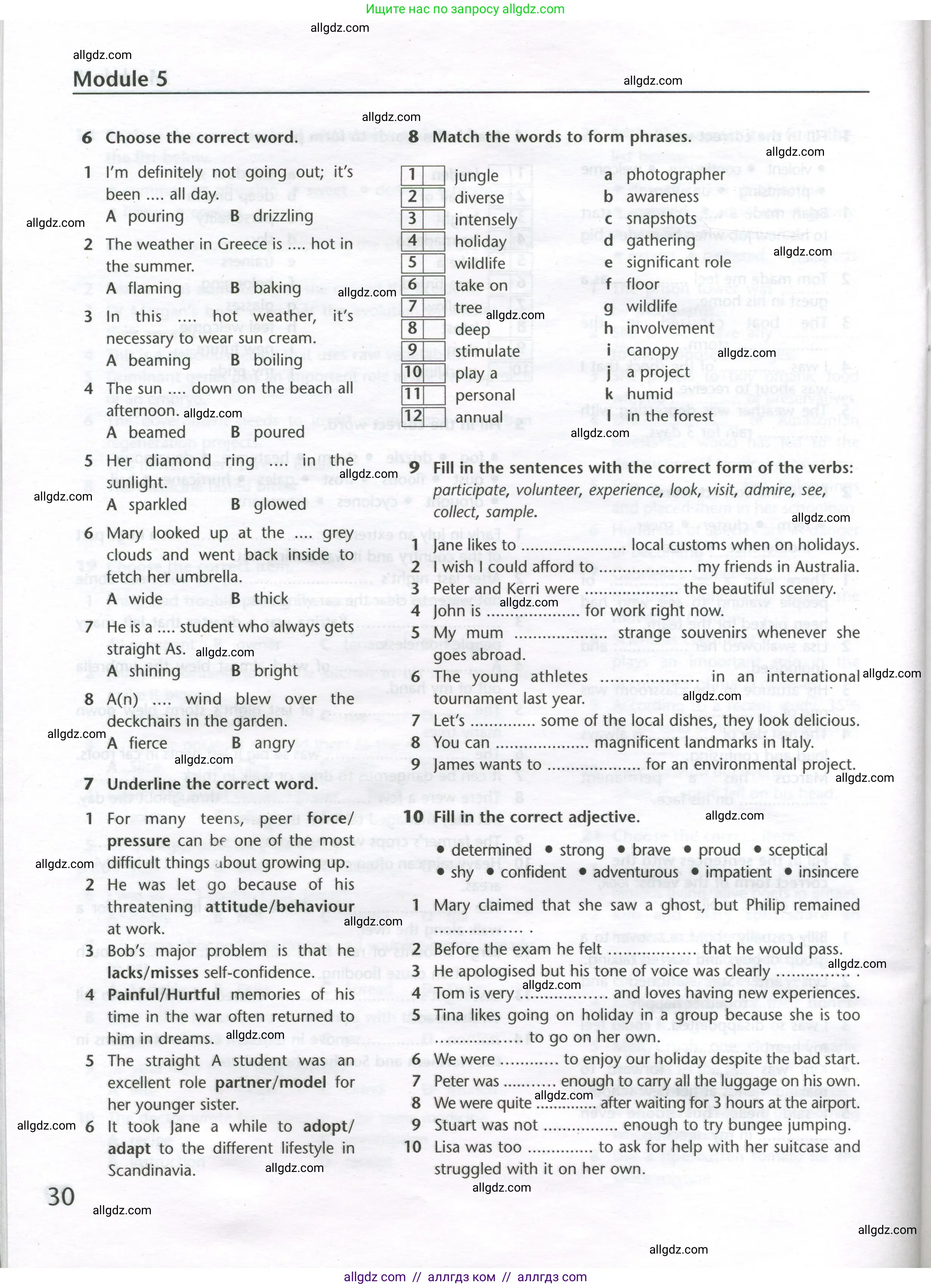Английский язык (english), 11 класс Лексический практикум (vocabulary practice), авторы: Баранова Ксения Михайловна (Baranova Ksenia), Дули Дженни (Dooley Jenny), Копылова Виктория Викторовна (Kopylova Victoria), Мильруд Радислав Петрович (Millrood Radislav), Эванс Вирджиния (Evans Virginia), издательство Просвещение, Москва, 2019, серого цвета, страница 30