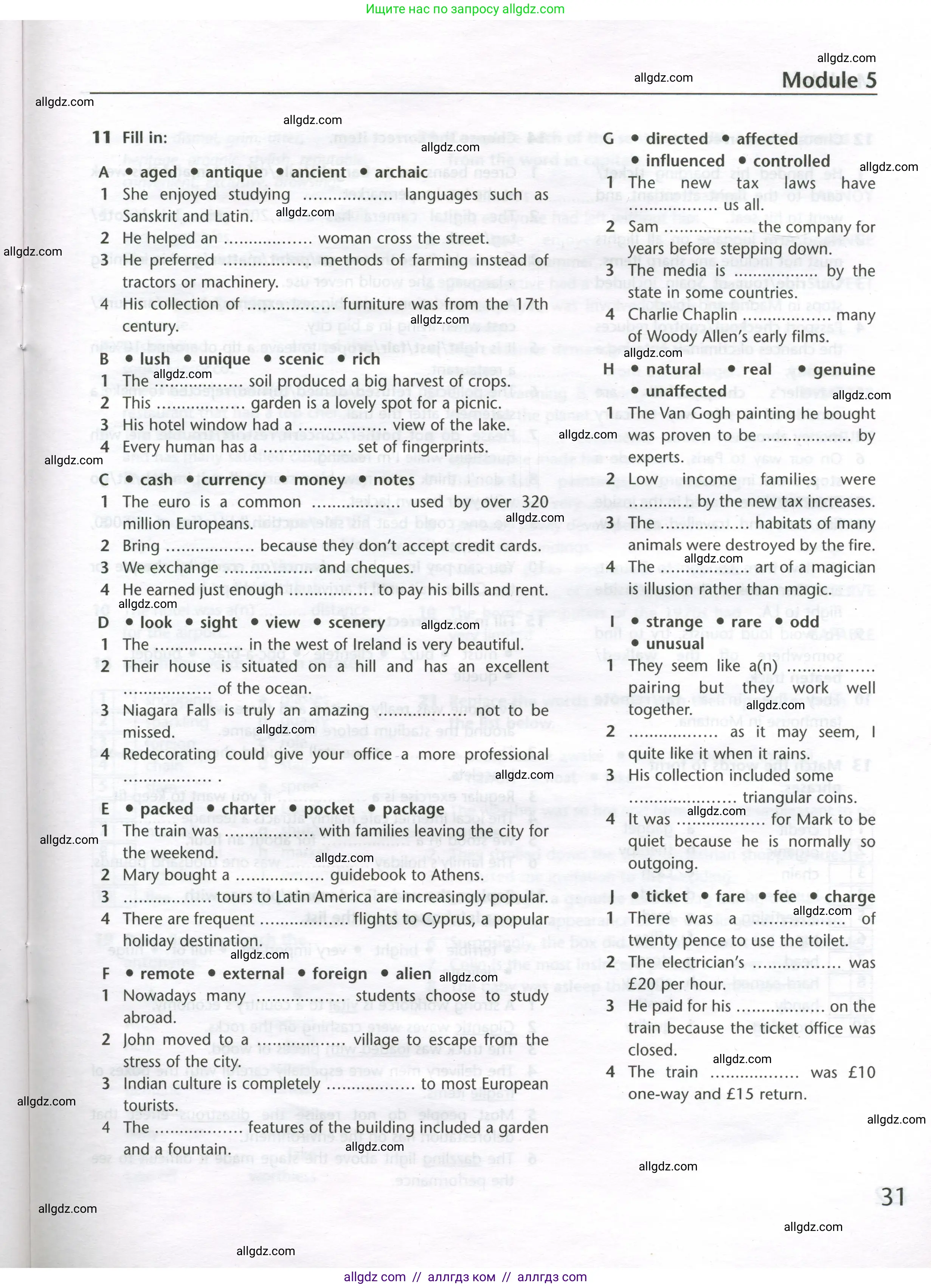 Английский язык (english), 11 класс Лексический практикум (vocabulary practice), авторы: Баранова Ксения Михайловна (Baranova Ksenia), Дули Дженни (Dooley Jenny), Копылова Виктория Викторовна (Kopylova Victoria), Мильруд Радислав Петрович (Millrood Radislav), Эванс Вирджиния (Evans Virginia), издательство Просвещение, Москва, 2019, серого цвета, страница 31