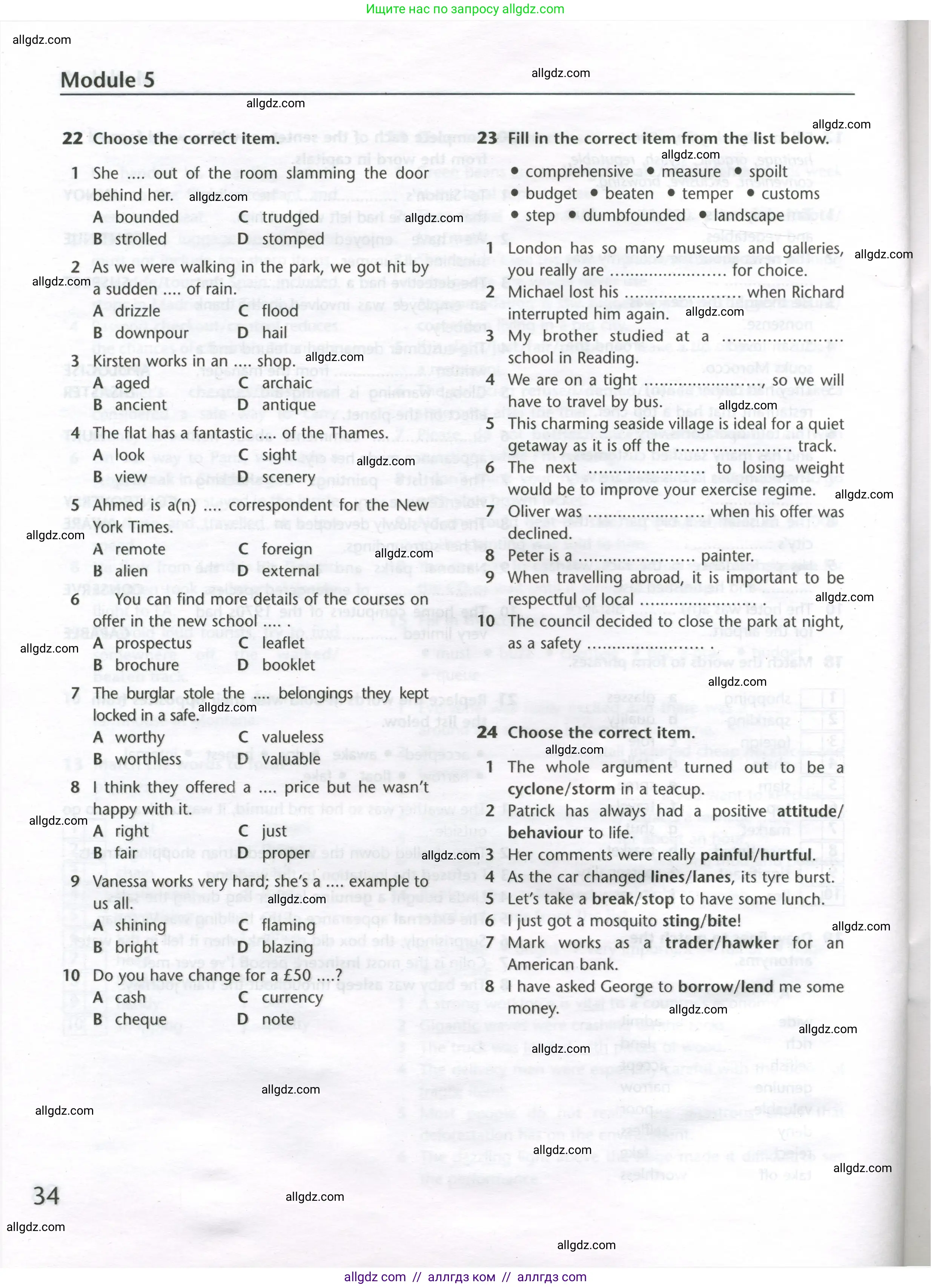 Английский язык (english), 11 класс Лексический практикум (vocabulary practice), авторы: Баранова Ксения Михайловна (Baranova Ksenia), Дули Дженни (Dooley Jenny), Копылова Виктория Викторовна (Kopylova Victoria), Мильруд Радислав Петрович (Millrood Radislav), Эванс Вирджиния (Evans Virginia), издательство Просвещение, Москва, 2019, серого цвета, страница 34
