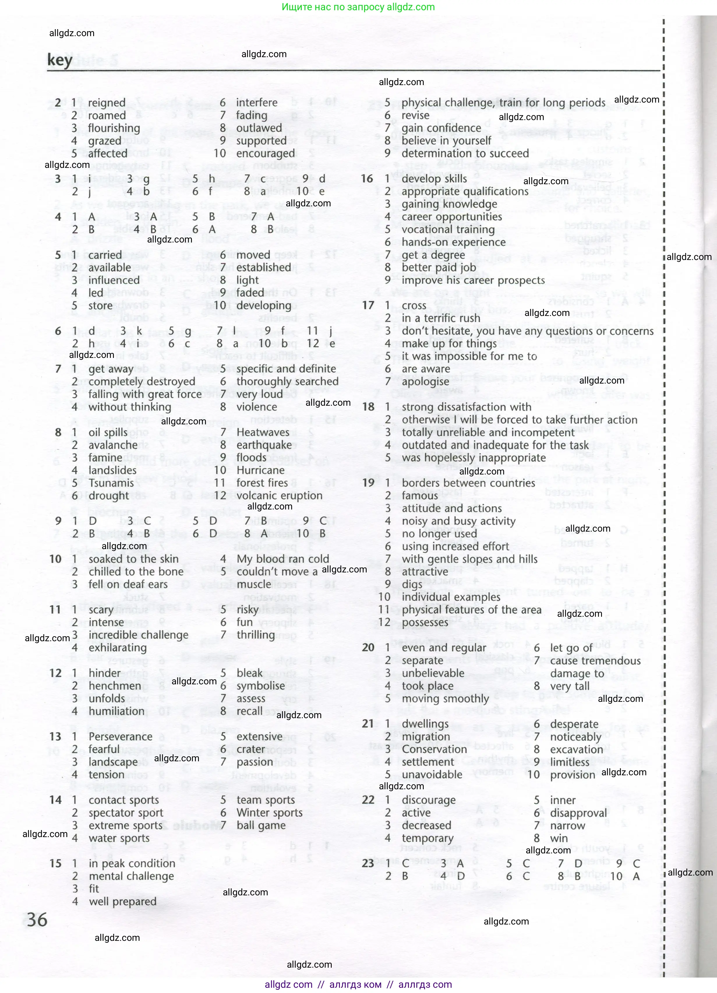 Английский язык (english), 11 класс Лексический практикум (vocabulary practice), авторы: Баранова Ксения Михайловна (Baranova Ksenia), Дули Дженни (Dooley Jenny), Копылова Виктория Викторовна (Kopylova Victoria), Мильруд Радислав Петрович (Millrood Radislav), Эванс Вирджиния (Evans Virginia), издательство Просвещение, Москва, 2019, серого цвета, страница 36