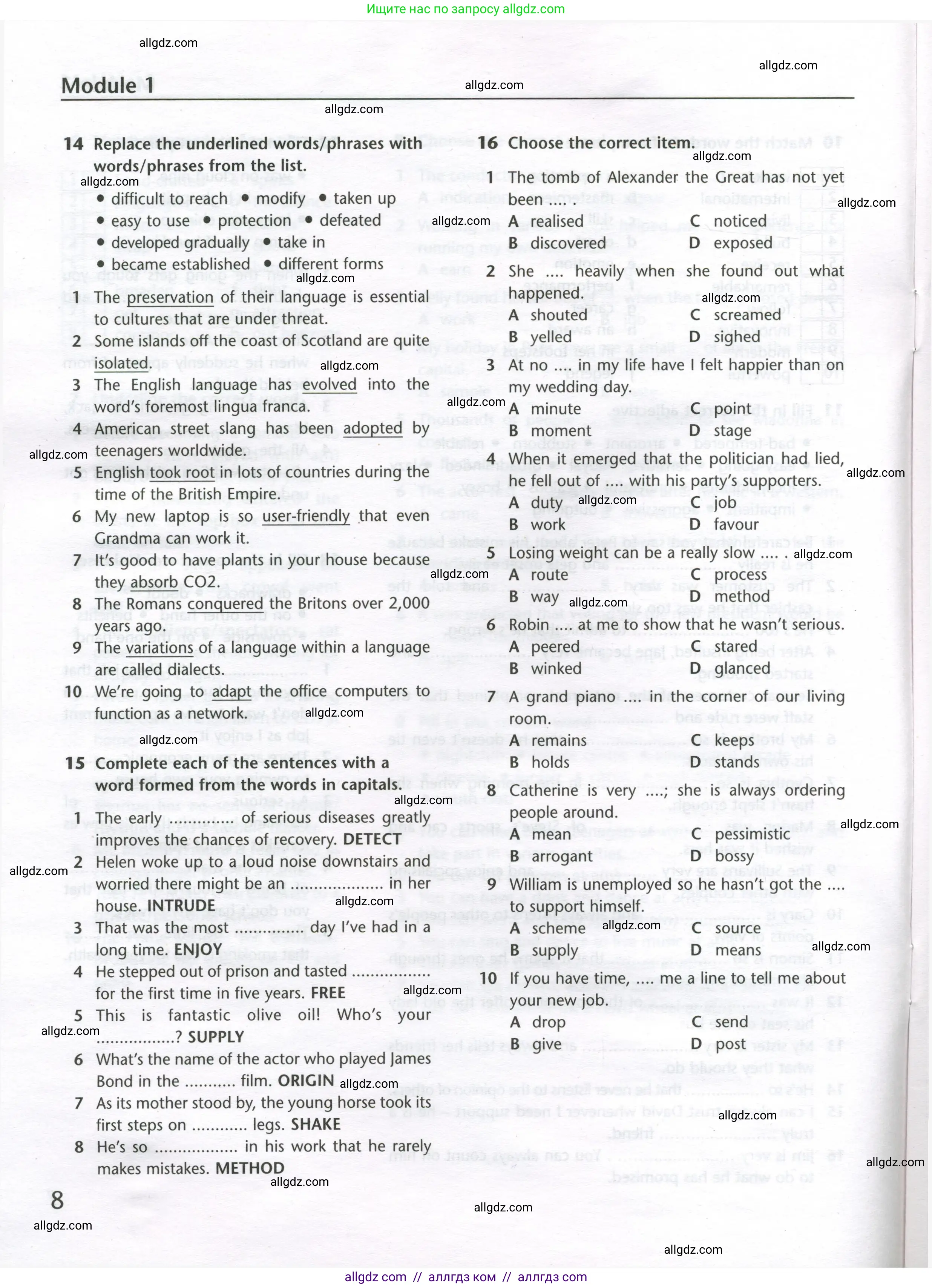 Английский язык (english), 11 класс Лексический практикум (vocabulary practice), авторы: Баранова Ксения Михайловна (Baranova Ksenia), Дули Дженни (Dooley Jenny), Копылова Виктория Викторовна (Kopylova Victoria), Мильруд Радислав Петрович (Millrood Radislav), Эванс Вирджиния (Evans Virginia), издательство Просвещение, Москва, 2019, серого цвета, страница 8