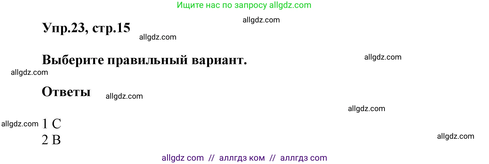 Английский язык (english), 11 класс Лексический практикум (vocabulary practice), авторы: Баранова Ксения Михайловна (Baranova Ksenia), Дули Дженни (Dooley Jenny), Копылова Виктория Викторовна (Kopylova Victoria), Мильруд Радислав Петрович (Millrood Radislav), Эванс Вирджиния (Evans Virginia), издательство Просвещение, Москва, 2019, серого цвета, страница 15, номер 23, Решение 1
