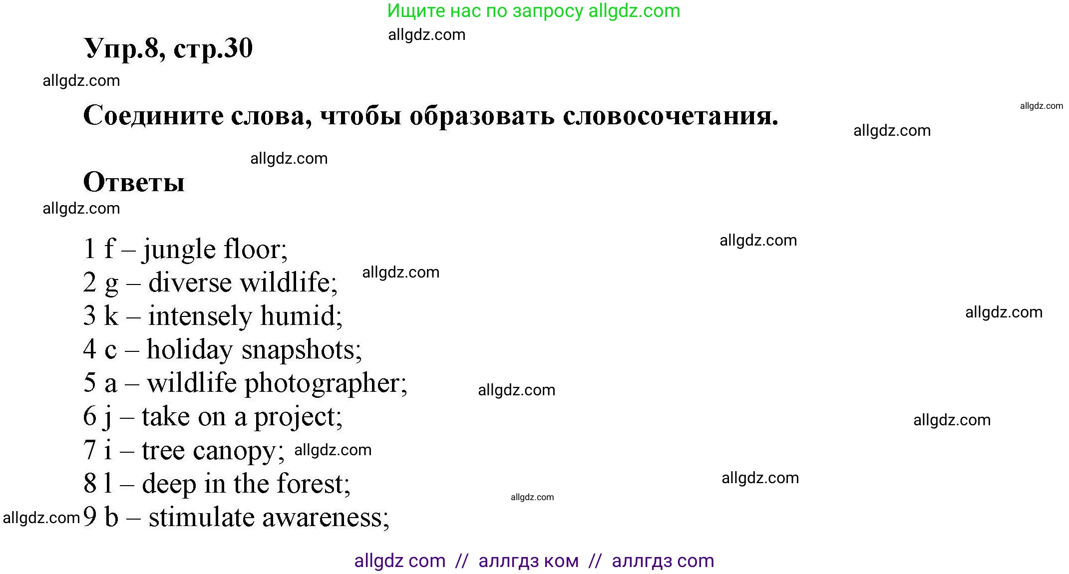 Английский язык (english), 11 класс Лексический практикум (vocabulary practice), авторы: Баранова Ксения Михайловна (Baranova Ksenia), Дули Дженни (Dooley Jenny), Копылова Виктория Викторовна (Kopylova Victoria), Мильруд Радислав Петрович (Millrood Radislav), Эванс Вирджиния (Evans Virginia), издательство Просвещение, Москва, 2019, серого цвета, страница 30, номер 8, Решение 1