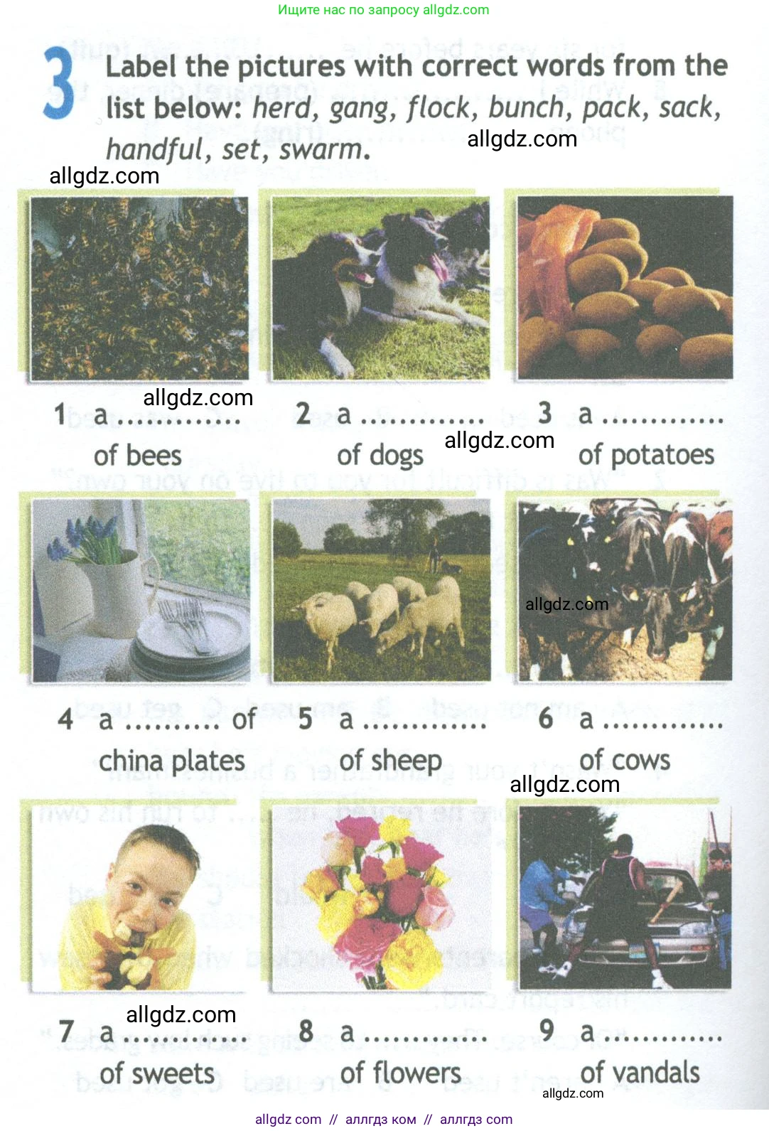 Английский язык (english), 11 класс Рабочая тетрадь (workbook), авторы: Афанасьева Ольга Васильевна (Afanasyeva Olga), Дули Дженни (Dooley Jenny), Михеева Ирина Владимировна (Mikheeva Irina), Оби Боб (Obee Bob), Эванс Вирджиния (Evans Virginia), издательство Просвещение, Москва, 2019, белого цвета, страница 8, номер 3, Условие