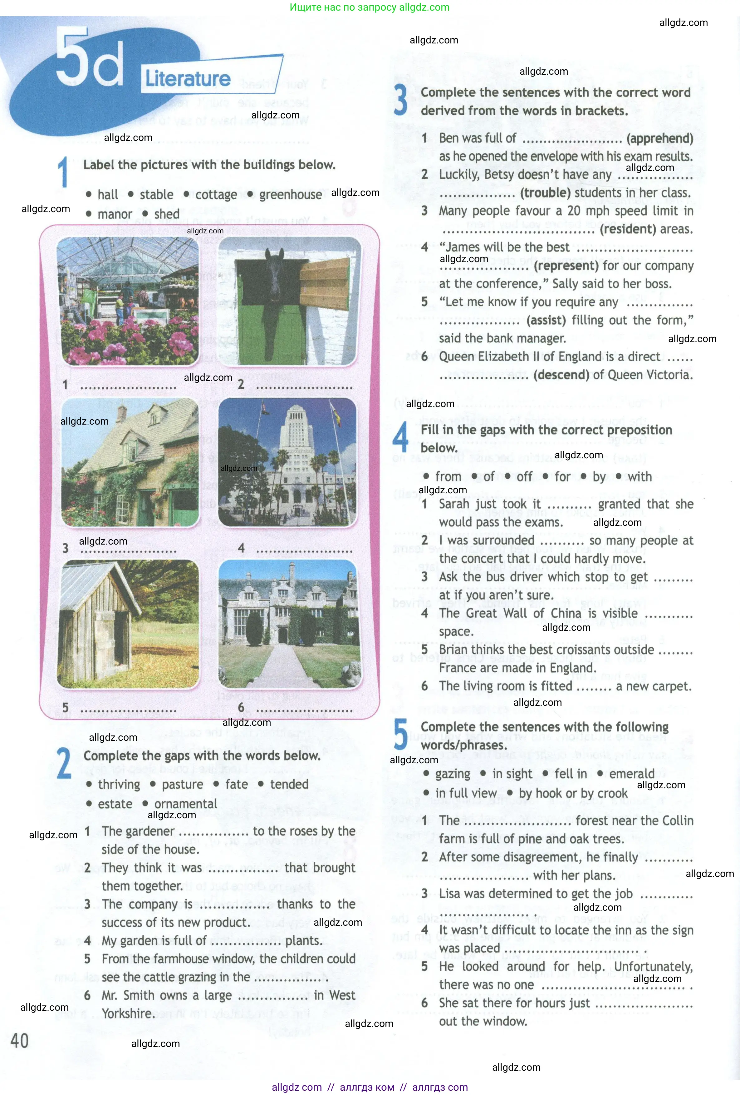 Английский язык (english), 11 класс Рабочая тетрадь (workbook), авторы: Афанасьева Ольга Васильевна (Afanasyeva Olga), Дули Дженни (Dooley Jenny), Михеева Ирина Владимировна (Mikheeva Irina), Оби Боб (Obee Bob), Эванс Вирджиния (Evans Virginia), издательство Просвещение, Москва, 2019, белого цвета, страница 40