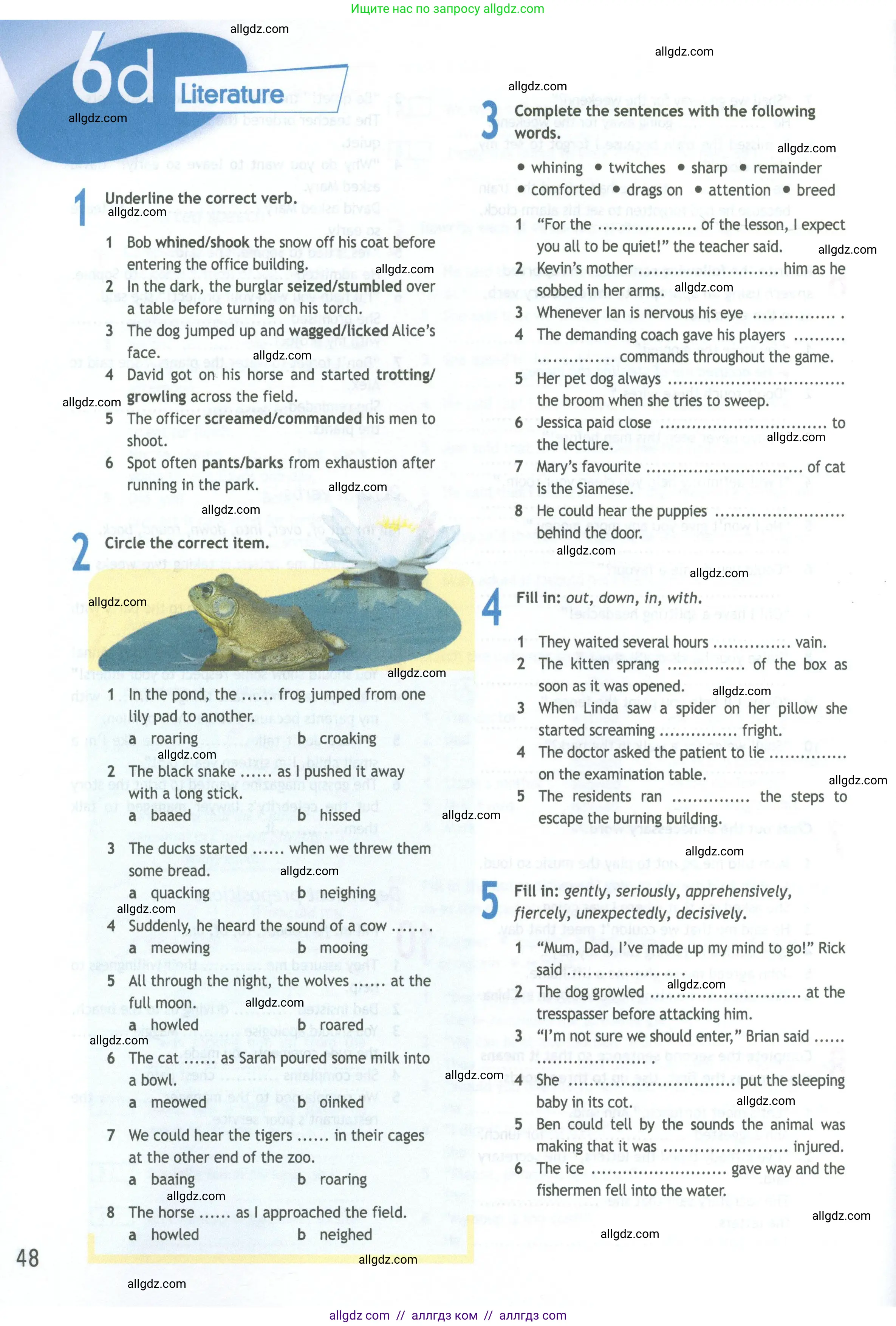 Английский язык (english), 11 класс Рабочая тетрадь (workbook), авторы: Афанасьева Ольга Васильевна (Afanasyeva Olga), Дули Дженни (Dooley Jenny), Михеева Ирина Владимировна (Mikheeva Irina), Оби Боб (Obee Bob), Эванс Вирджиния (Evans Virginia), издательство Просвещение, Москва, 2019, белого цвета, страница 48
