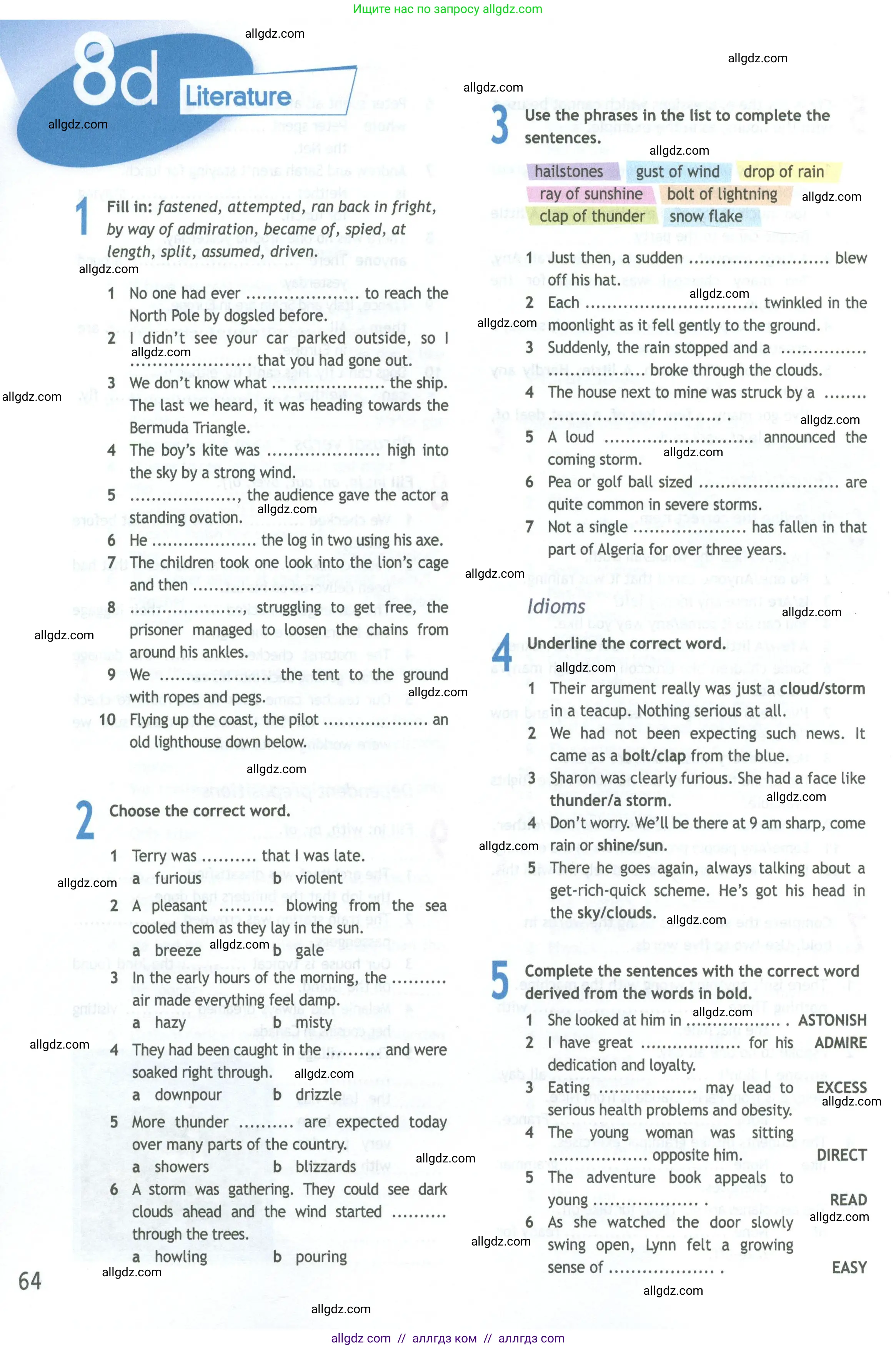 Английский язык (english), 11 класс Рабочая тетрадь (workbook), авторы: Афанасьева Ольга Васильевна (Afanasyeva Olga), Дули Дженни (Dooley Jenny), Михеева Ирина Владимировна (Mikheeva Irina), Оби Боб (Obee Bob), Эванс Вирджиния (Evans Virginia), издательство Просвещение, Москва, 2019, белого цвета, страница 64