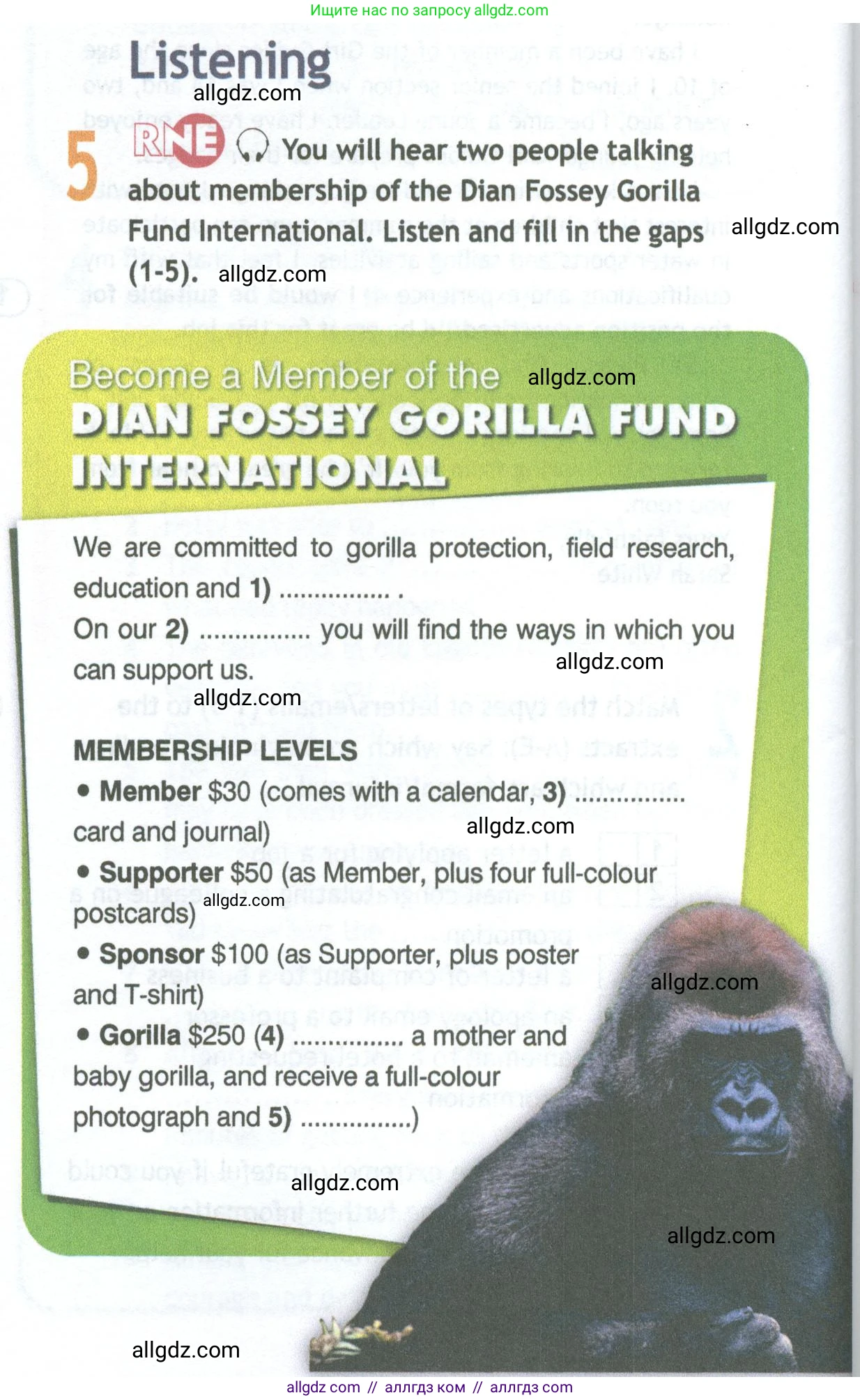 Английский язык (english), 11 класс Рабочая тетрадь (workbook), авторы: Афанасьева Ольга Васильевна (Afanasyeva Olga), Дули Дженни (Dooley Jenny), Михеева Ирина Владимировна (Mikheeva Irina), Оби Боб (Obee Bob), Эванс Вирджиния (Evans Virginia), издательство Просвещение, Москва, 2019, белого цвета, страница 58, номер 5, Условие