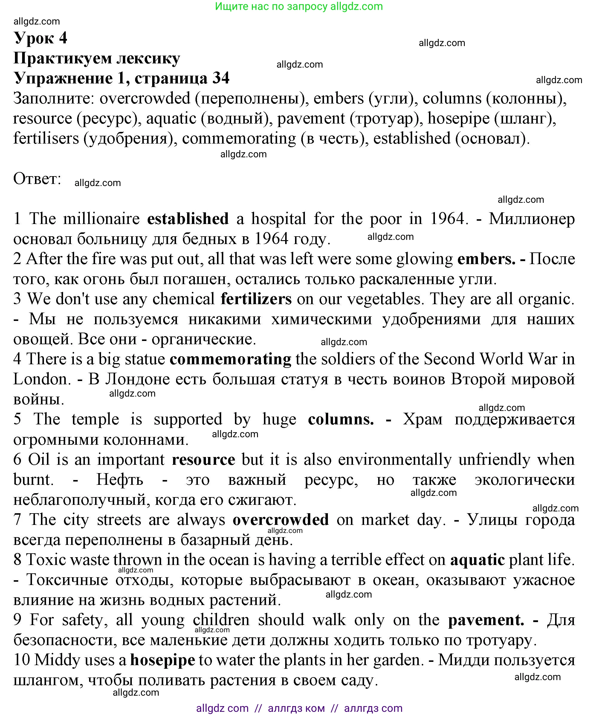 Английский язык (english), 11 класс Рабочая тетрадь (workbook), авторы: Афанасьева Ольга Васильевна (Afanasyeva Olga), Дули Дженни (Dooley Jenny), Михеева Ирина Владимировна (Mikheeva Irina), Оби Боб (Obee Bob), Эванс Вирджиния (Evans Virginia), издательство Просвещение, Москва, 2019, белого цвета, страница 34, номер 1, Решение 1