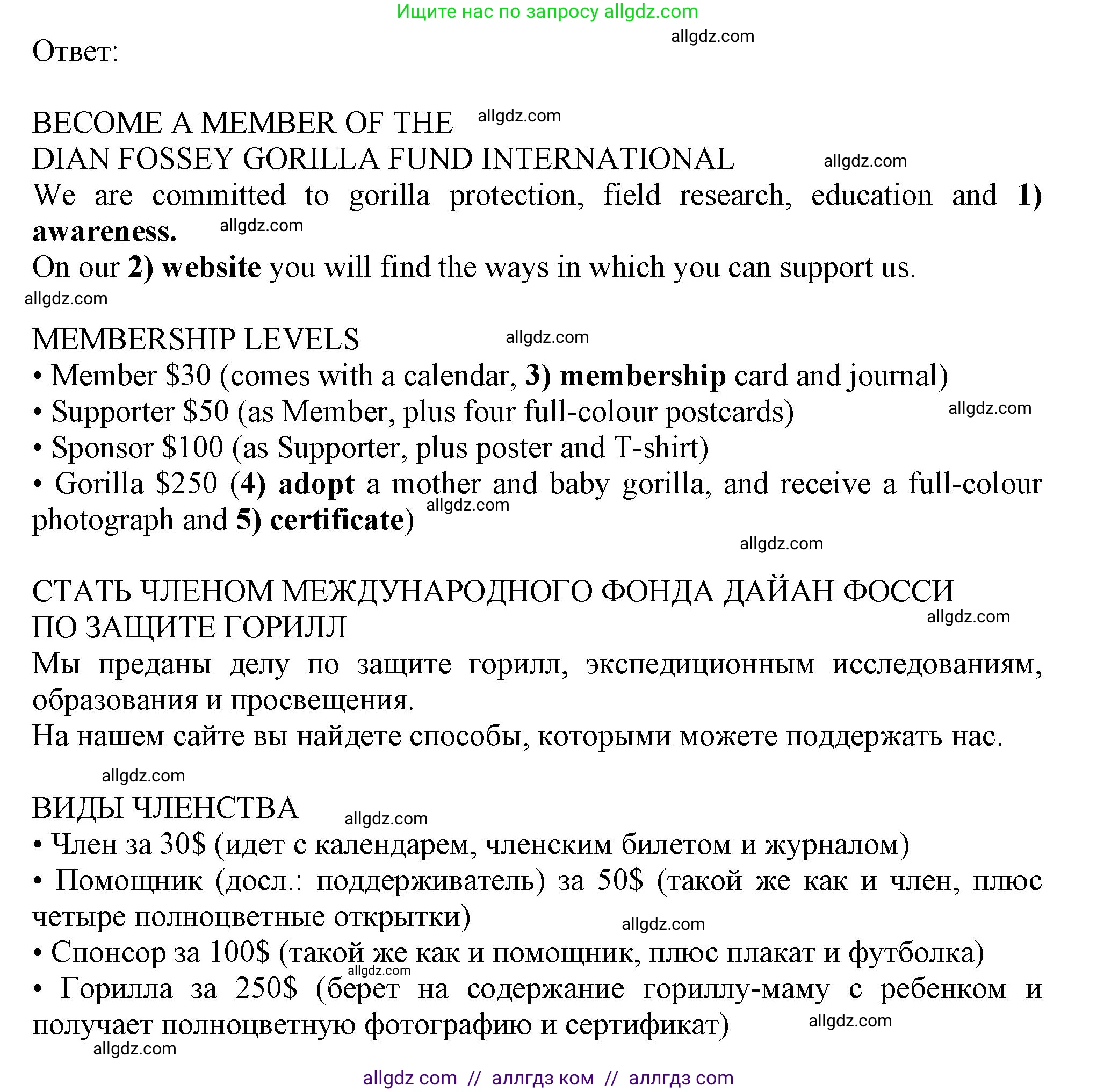 Английский язык (english), 11 класс Рабочая тетрадь (workbook), авторы: Афанасьева Ольга Васильевна (Afanasyeva Olga), Дули Дженни (Dooley Jenny), Михеева Ирина Владимировна (Mikheeva Irina), Оби Боб (Obee Bob), Эванс Вирджиния (Evans Virginia), издательство Просвещение, Москва, 2019, белого цвета, страница 58, номер 5, Решение 1 (продолжение 3)