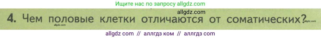 Биология, 11 класс Учебник, авторы: Пасечник Владимир Васильевич, Каменский Андрей Александрович, Рубцов Александр Михайлович, Швецов Глеб Геннадьевич, Гапонюк Зоя Георгиевна, издательство Просвещение, Москва, 2018, страница 6, номер 4, Условие