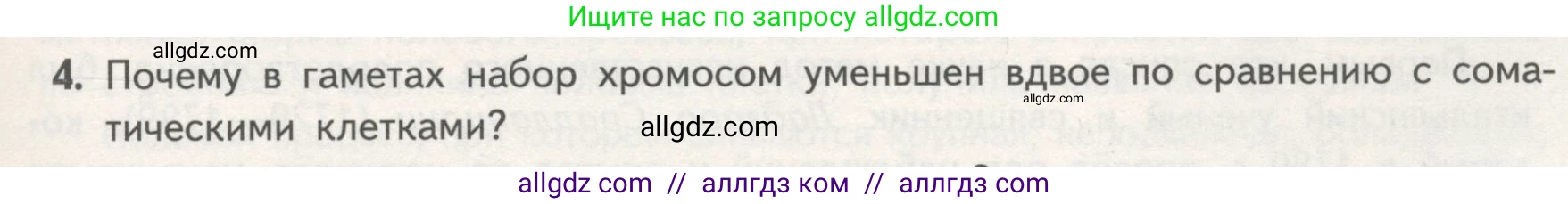 Биология, 11 класс Учебник, авторы: Пасечник Владимир Васильевич, Каменский Андрей Александрович, Рубцов Александр Михайлович, Швецов Глеб Геннадьевич, Гапонюк Зоя Георгиевна, издательство Просвещение, Москва, 2018, страница 19, номер 4, Условие