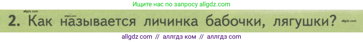 Биология, 11 класс Учебник, авторы: Пасечник Владимир Васильевич, Каменский Андрей Александрович, Рубцов Александр Михайлович, Швецов Глеб Геннадьевич, Гапонюк Зоя Георгиевна, издательство Просвещение, Москва, 2018, страница 22, номер 2, Условие