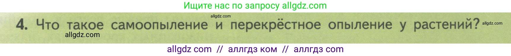 Биология, 11 класс Учебник, авторы: Пасечник Владимир Васильевич, Каменский Андрей Александрович, Рубцов Александр Михайлович, Швецов Глеб Геннадьевич, Гапонюк Зоя Георгиевна, издательство Просвещение, Москва, 2018, страница 31, номер 4, Условие