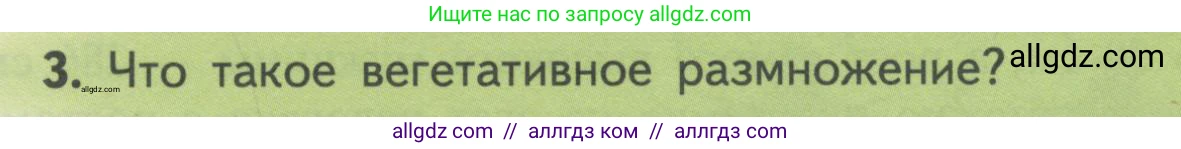 Биология, 11 класс Учебник, авторы: Пасечник Владимир Васильевич, Каменский Андрей Александрович, Рубцов Александр Михайлович, Швецов Глеб Геннадьевич, Гапонюк Зоя Георгиевна, издательство Просвещение, Москва, 2018, страница 57, номер 3, Условие