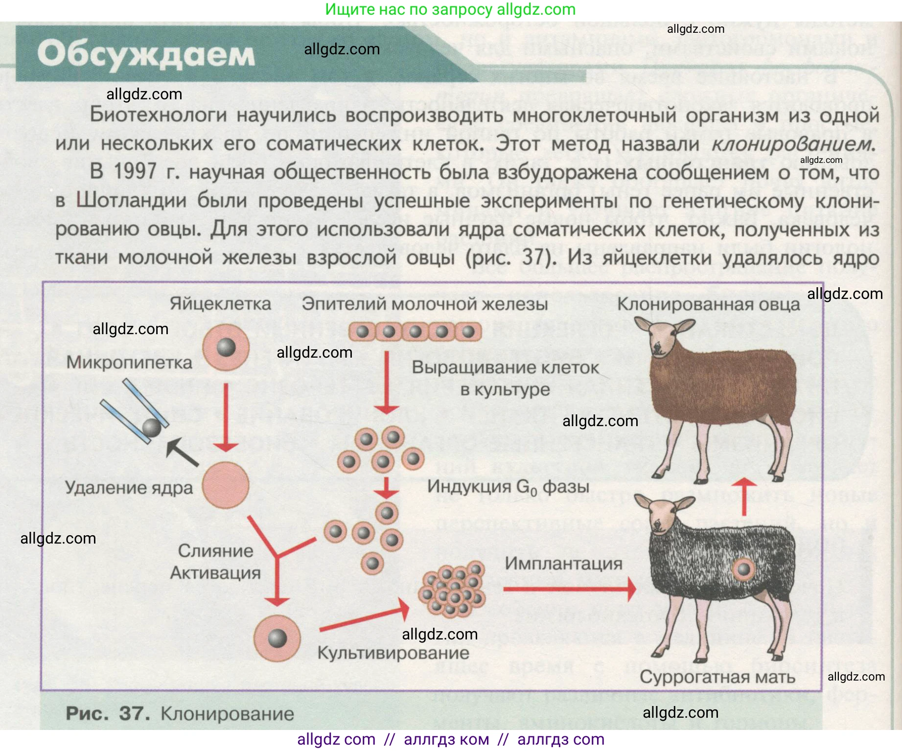 Биология, 11 класс Учебник, авторы: Пасечник Владимир Васильевич, Каменский Андрей Александрович, Рубцов Александр Михайлович, Швецов Глеб Геннадьевич, Гапонюк Зоя Георгиевна, издательство Просвещение, Москва, 2018, страница 74, Условие