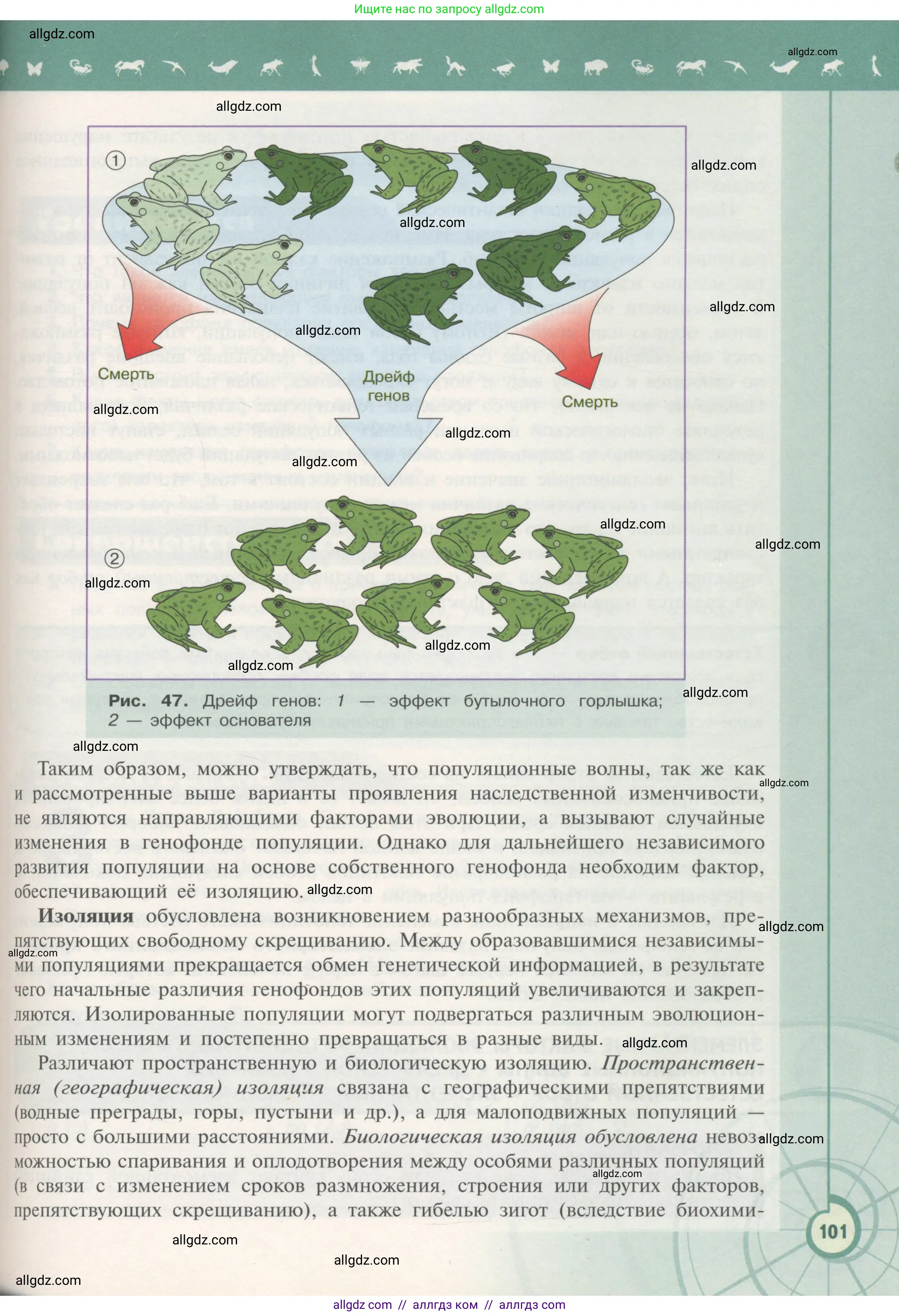 Биология, 11 класс Учебник, авторы: Пасечник Владимир Васильевич, Каменский Андрей Александрович, Рубцов Александр Михайлович, Швецов Глеб Геннадьевич, Гапонюк Зоя Георгиевна, издательство Просвещение, Москва, 2018, страница 101