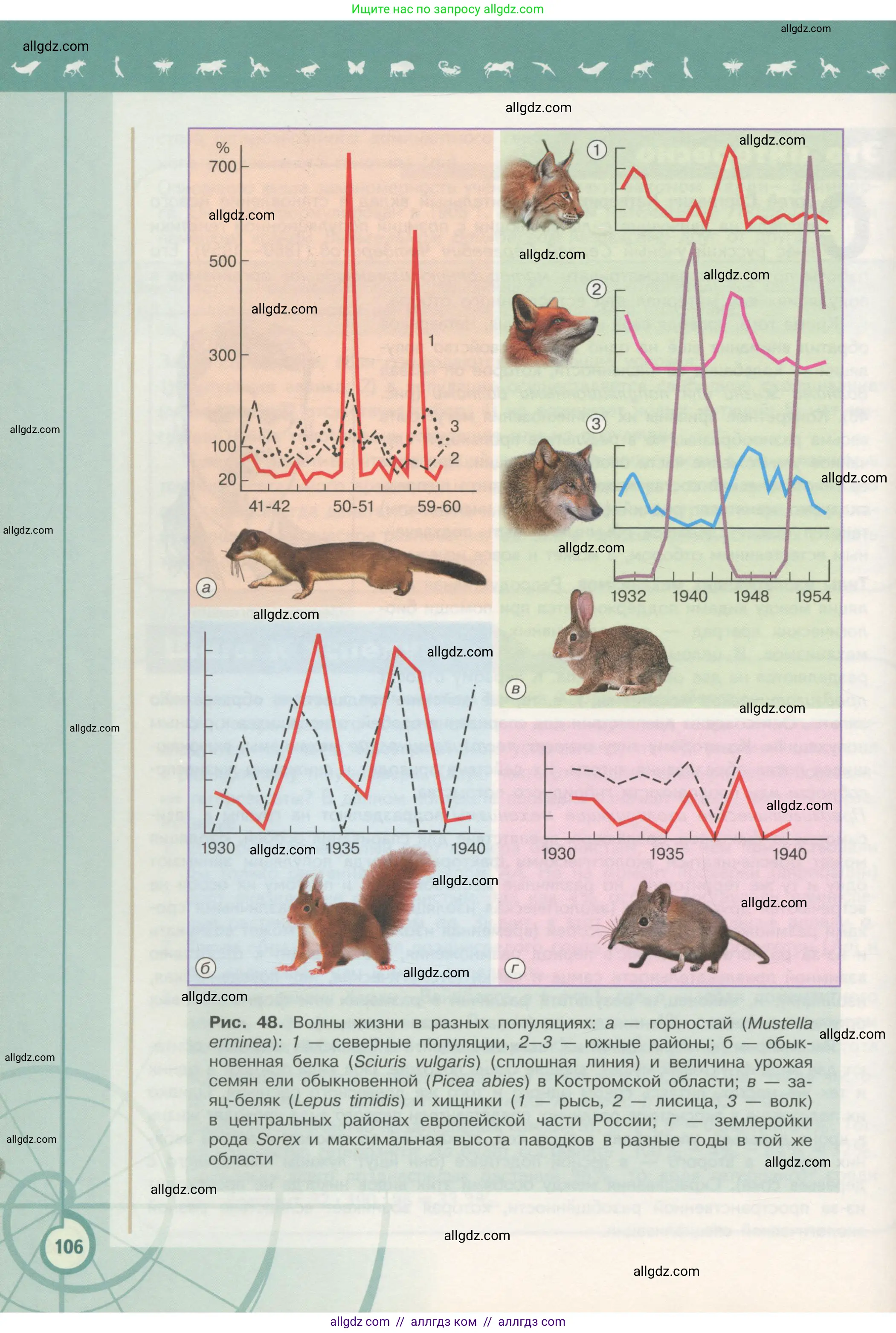 Биология, 11 класс Учебник, авторы: Пасечник Владимир Васильевич, Каменский Андрей Александрович, Рубцов Александр Михайлович, Швецов Глеб Геннадьевич, Гапонюк Зоя Георгиевна, издательство Просвещение, Москва, 2018, страница 106