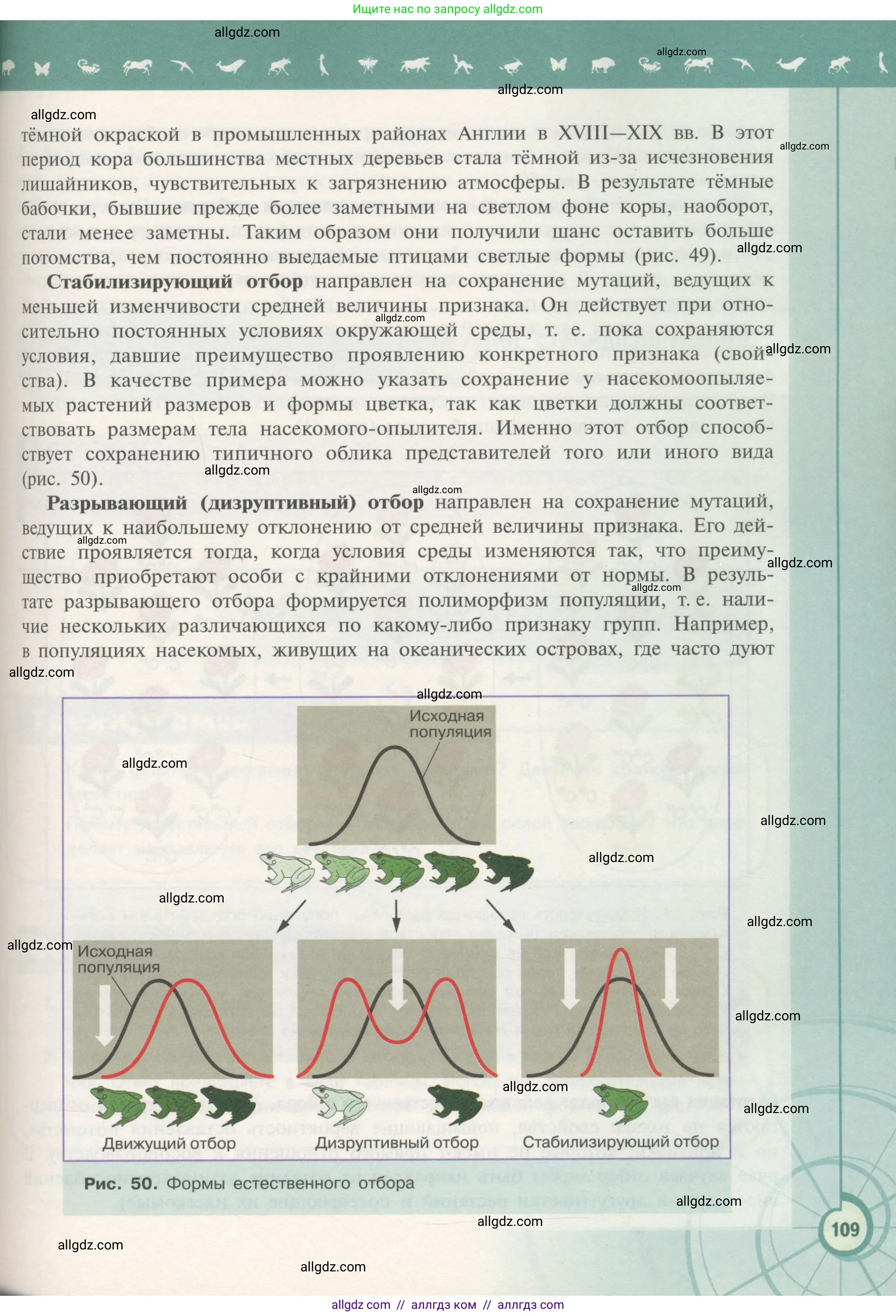 Биология, 11 класс Учебник, авторы: Пасечник Владимир Васильевич, Каменский Андрей Александрович, Рубцов Александр Михайлович, Швецов Глеб Геннадьевич, Гапонюк Зоя Георгиевна, издательство Просвещение, Москва, 2018, страница 109
