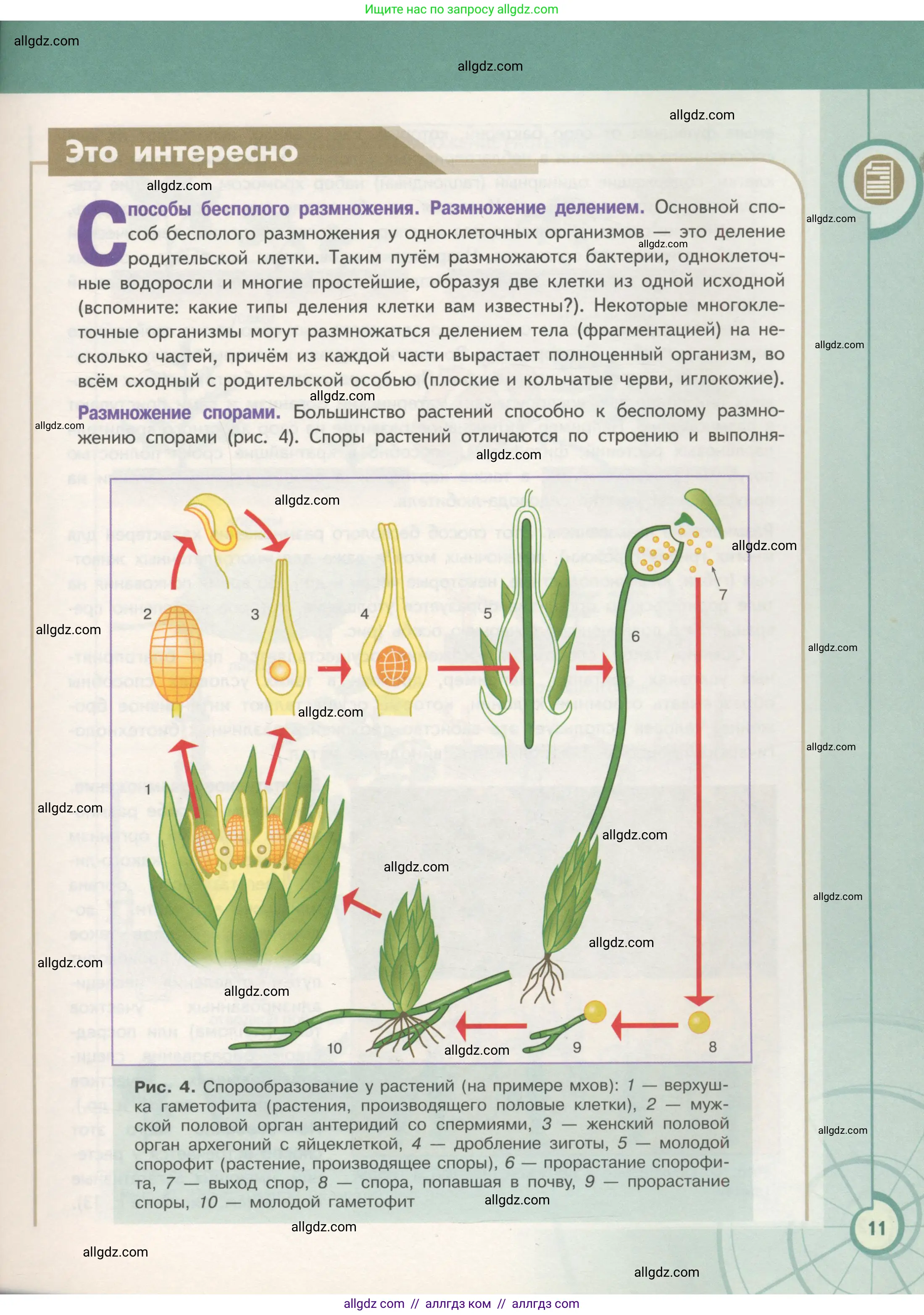 Биология, 11 класс Учебник, авторы: Пасечник Владимир Васильевич, Каменский Андрей Александрович, Рубцов Александр Михайлович, Швецов Глеб Геннадьевич, Гапонюк Зоя Георгиевна, издательство Просвещение, Москва, 2018, страница 11