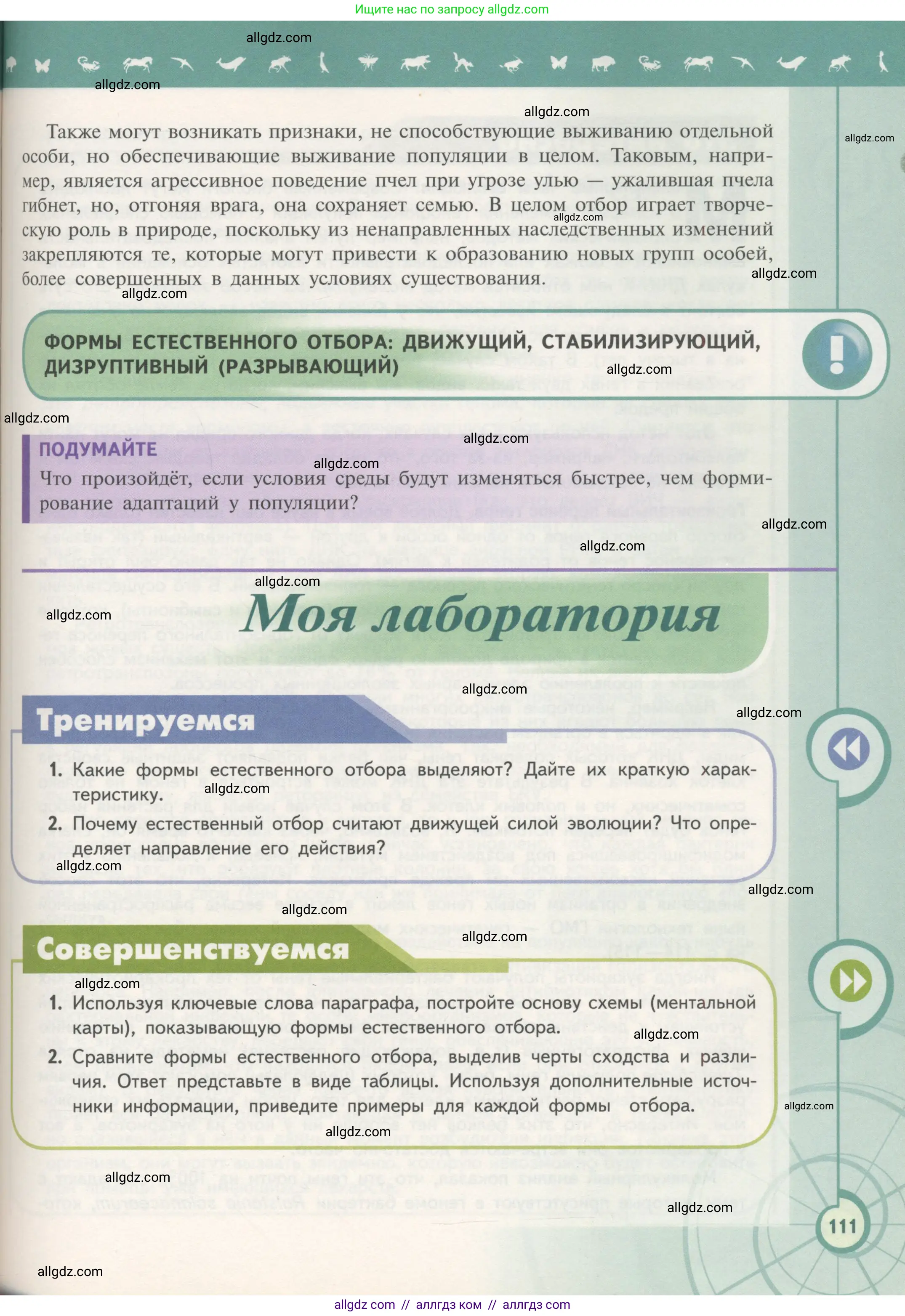 Биология, 11 класс Учебник, авторы: Пасечник Владимир Васильевич, Каменский Андрей Александрович, Рубцов Александр Михайлович, Швецов Глеб Геннадьевич, Гапонюк Зоя Георгиевна, издательство Просвещение, Москва, 2018, страница 111