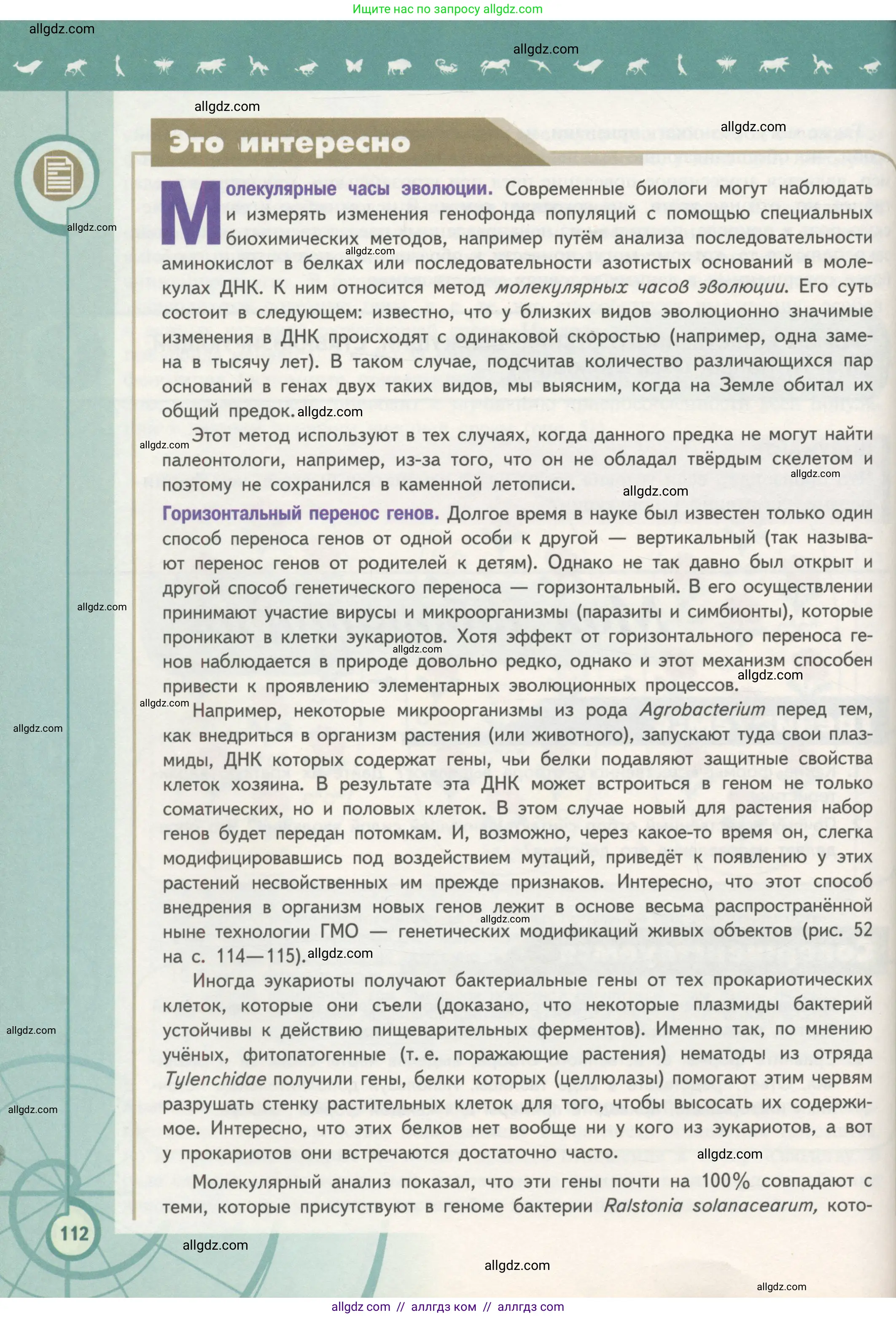 Биология, 11 класс Учебник, авторы: Пасечник Владимир Васильевич, Каменский Андрей Александрович, Рубцов Александр Михайлович, Швецов Глеб Геннадьевич, Гапонюк Зоя Георгиевна, издательство Просвещение, Москва, 2018, страница 112