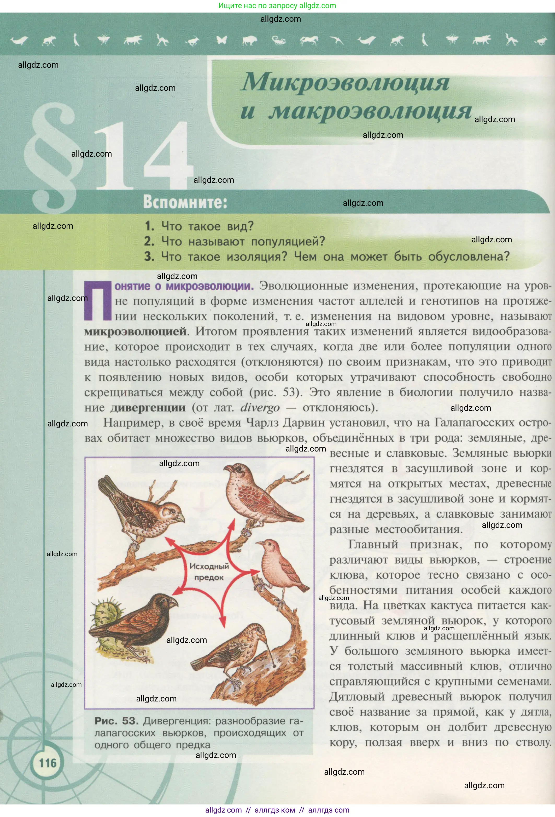 Биология, 11 класс Учебник, авторы: Пасечник Владимир Васильевич, Каменский Андрей Александрович, Рубцов Александр Михайлович, Швецов Глеб Геннадьевич, Гапонюк Зоя Георгиевна, издательство Просвещение, Москва, 2018, страница 116