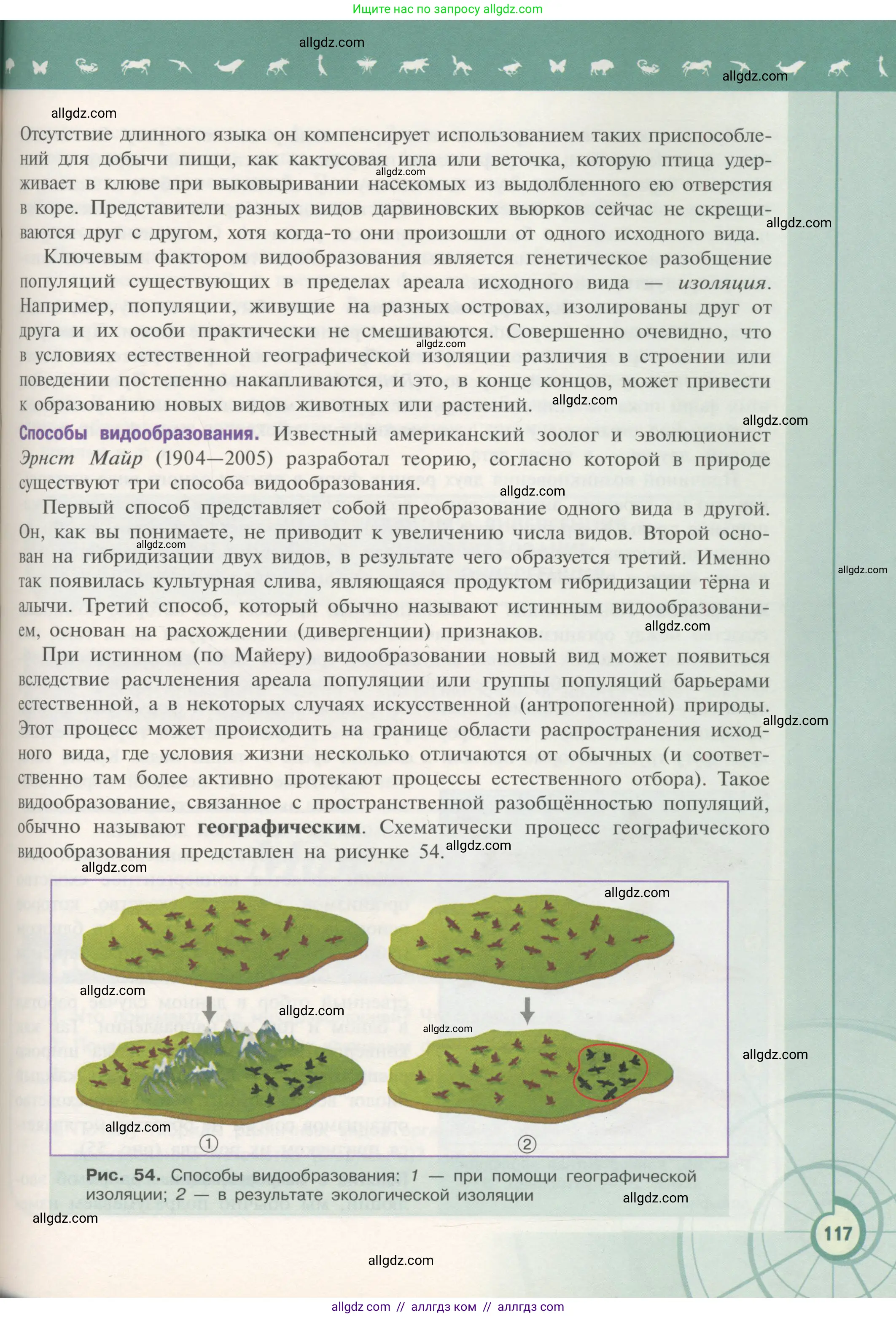 Биология, 11 класс Учебник, авторы: Пасечник Владимир Васильевич, Каменский Андрей Александрович, Рубцов Александр Михайлович, Швецов Глеб Геннадьевич, Гапонюк Зоя Георгиевна, издательство Просвещение, Москва, 2018, страница 117