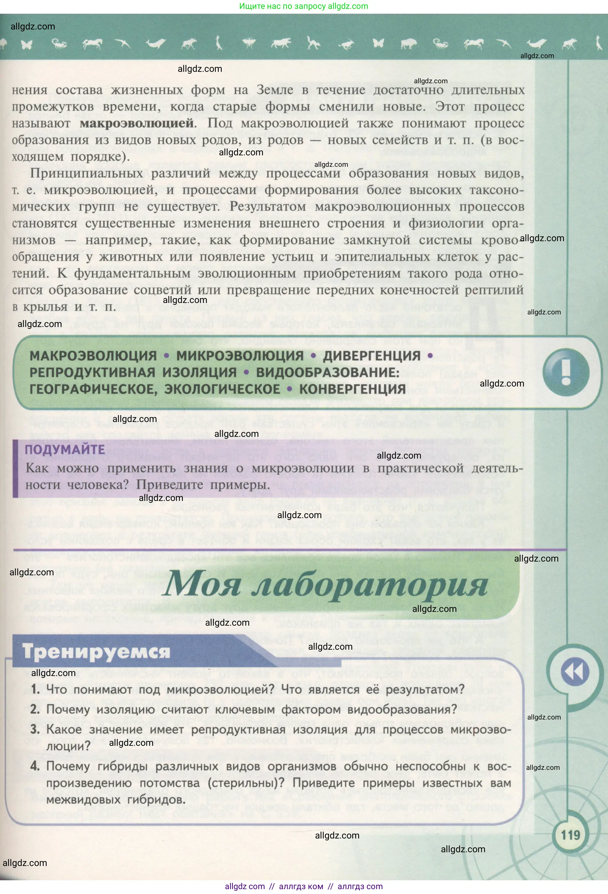 Биология, 11 класс Учебник, авторы: Пасечник Владимир Васильевич, Каменский Андрей Александрович, Рубцов Александр Михайлович, Швецов Глеб Геннадьевич, Гапонюк Зоя Георгиевна, издательство Просвещение, Москва, 2018, страница 119
