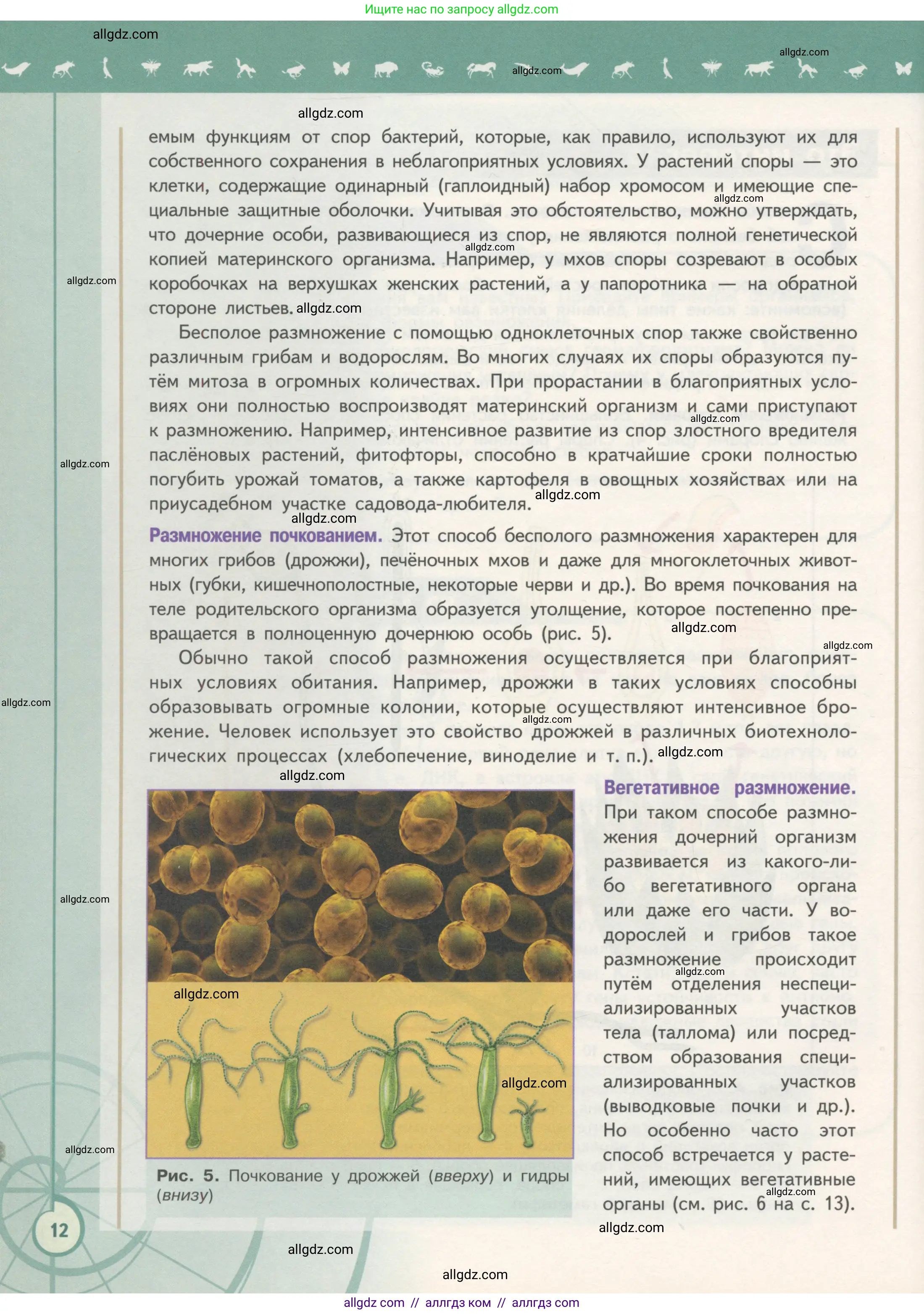 Биология, 11 класс Учебник, авторы: Пасечник Владимир Васильевич, Каменский Андрей Александрович, Рубцов Александр Михайлович, Швецов Глеб Геннадьевич, Гапонюк Зоя Георгиевна, издательство Просвещение, Москва, 2018, страница 12