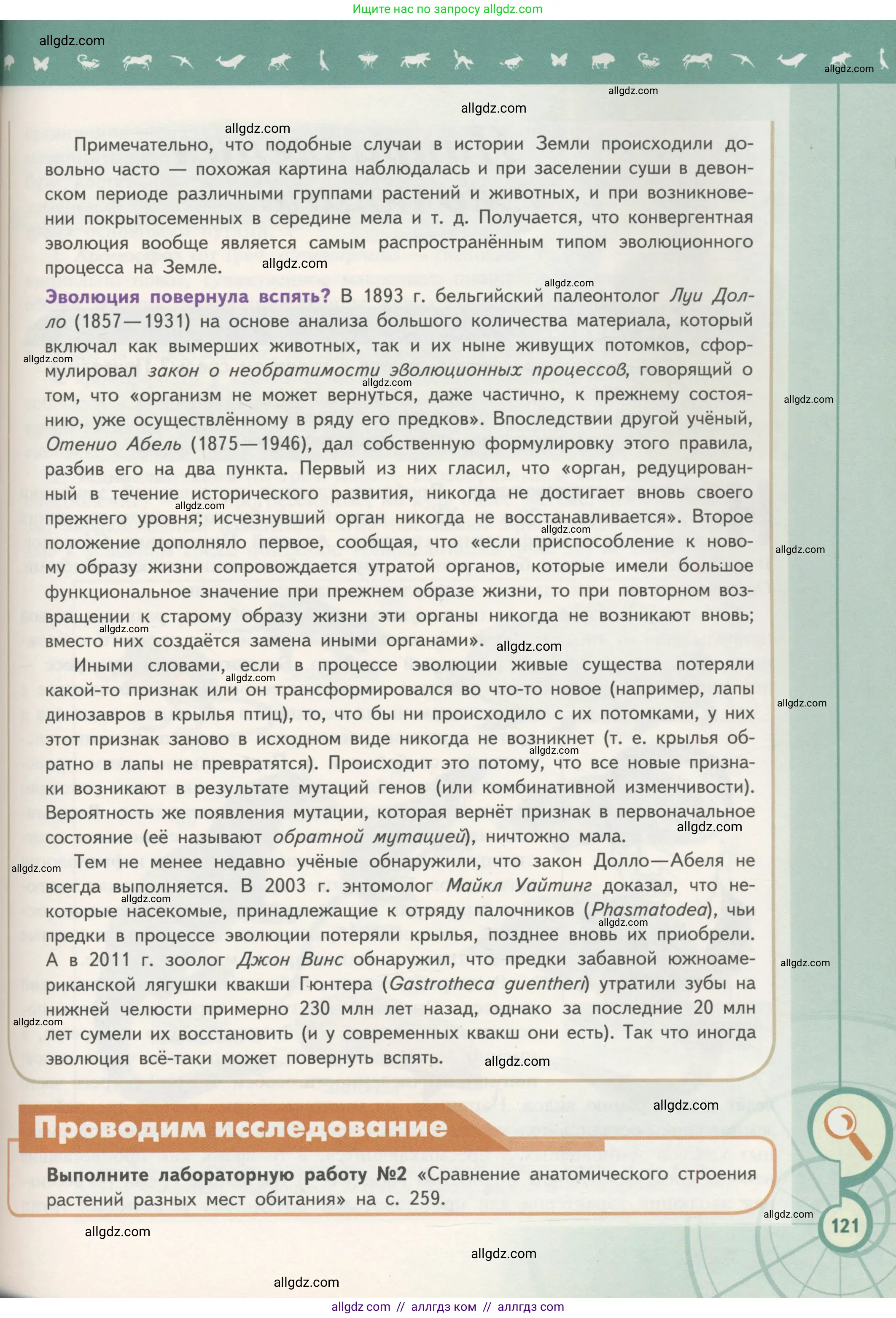 Биология, 11 класс Учебник, авторы: Пасечник Владимир Васильевич, Каменский Андрей Александрович, Рубцов Александр Михайлович, Швецов Глеб Геннадьевич, Гапонюк Зоя Георгиевна, издательство Просвещение, Москва, 2018, страница 121