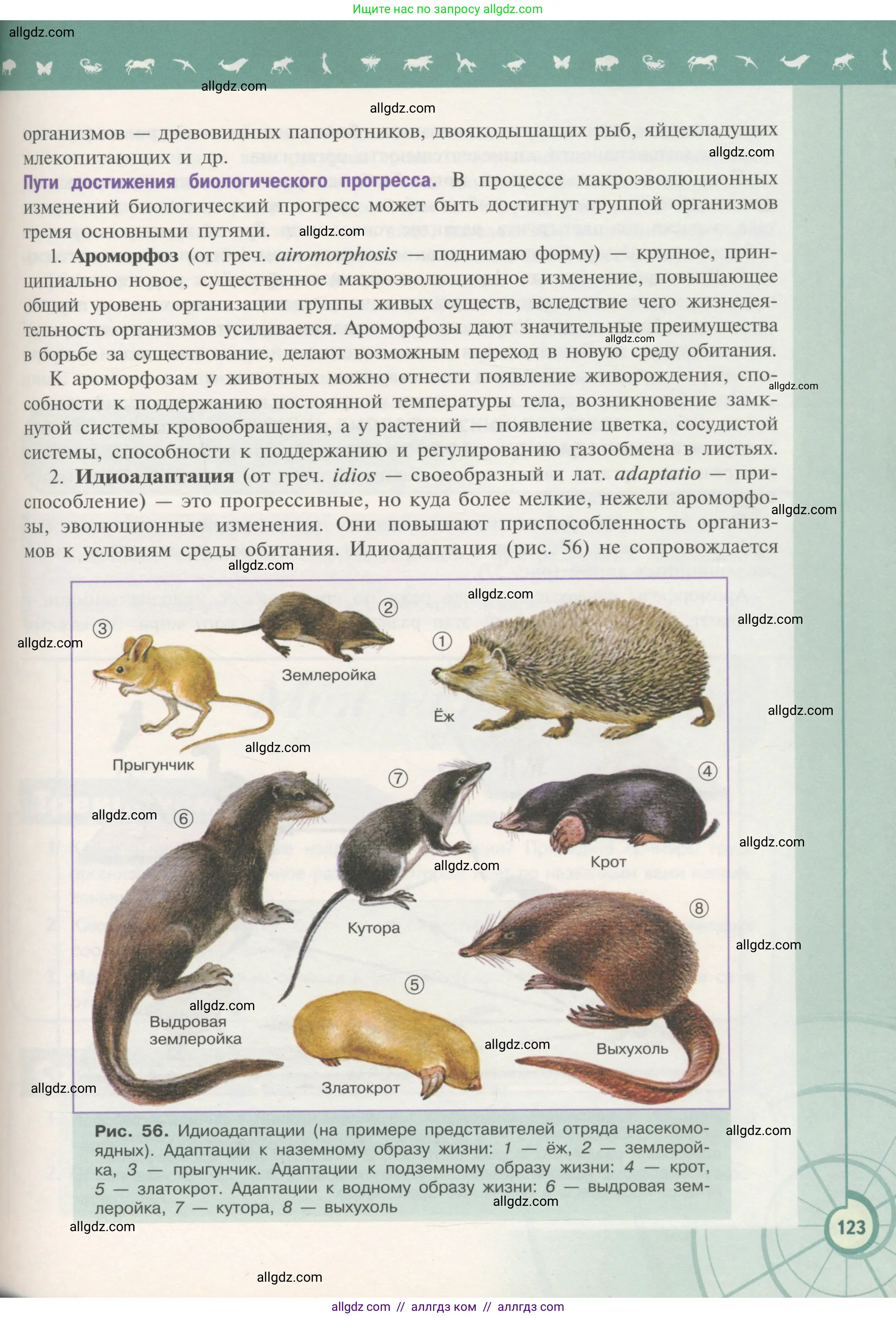 Биология, 11 класс Учебник, авторы: Пасечник Владимир Васильевич, Каменский Андрей Александрович, Рубцов Александр Михайлович, Швецов Глеб Геннадьевич, Гапонюк Зоя Георгиевна, издательство Просвещение, Москва, 2018, страница 123