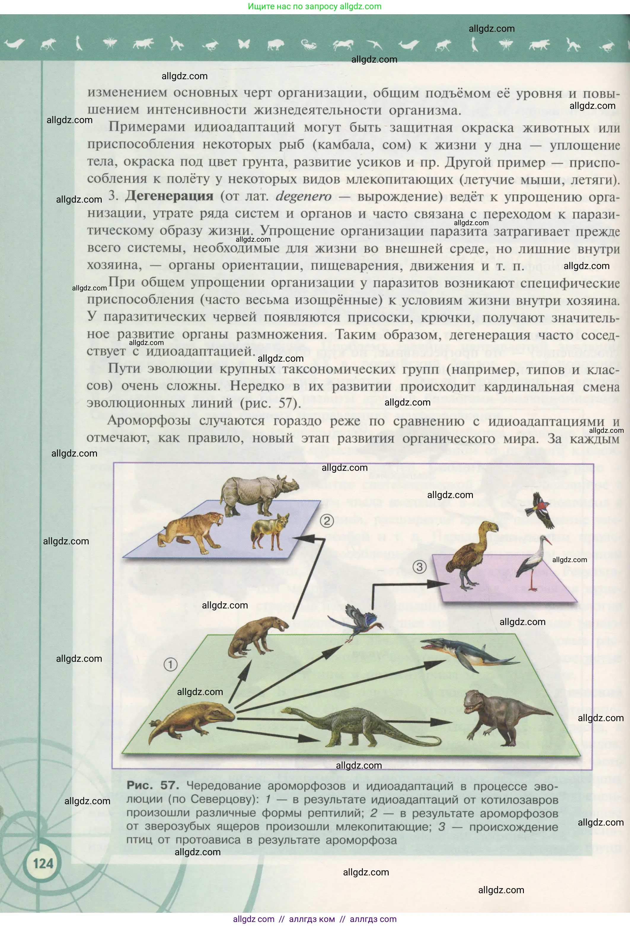 Биология, 11 класс Учебник, авторы: Пасечник Владимир Васильевич, Каменский Андрей Александрович, Рубцов Александр Михайлович, Швецов Глеб Геннадьевич, Гапонюк Зоя Георгиевна, издательство Просвещение, Москва, 2018, страница 124