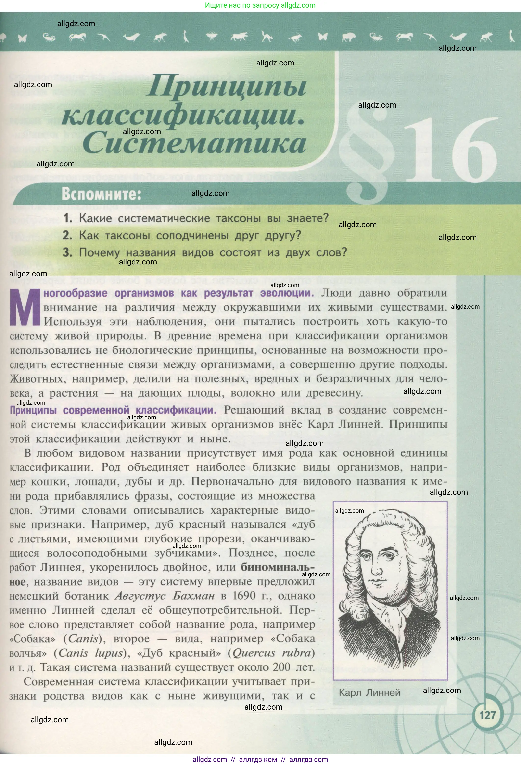 Биология, 11 класс Учебник, авторы: Пасечник Владимир Васильевич, Каменский Андрей Александрович, Рубцов Александр Михайлович, Швецов Глеб Геннадьевич, Гапонюк Зоя Георгиевна, издательство Просвещение, Москва, 2018, страница 127