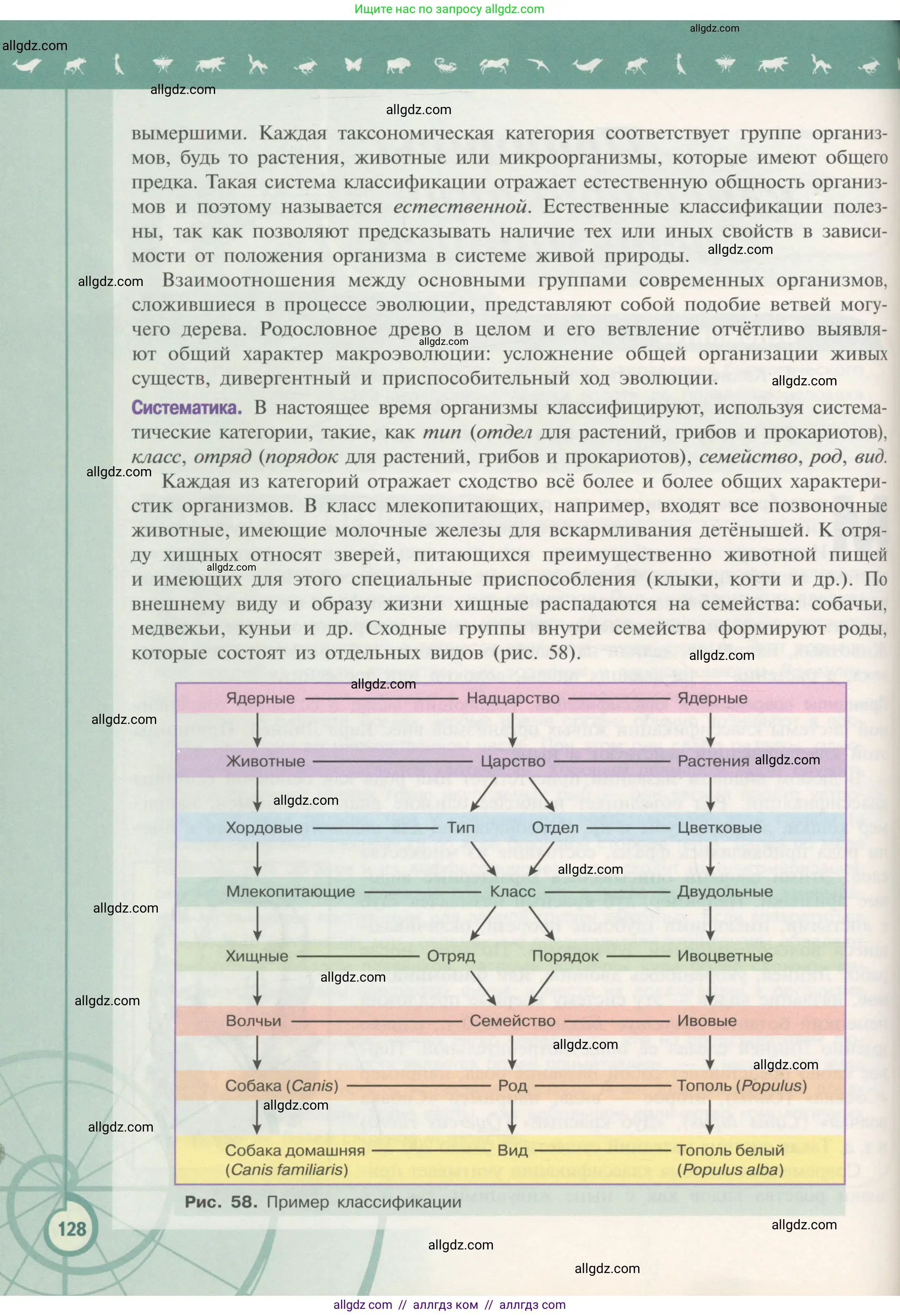 Биология, 11 класс Учебник, авторы: Пасечник Владимир Васильевич, Каменский Андрей Александрович, Рубцов Александр Михайлович, Швецов Глеб Геннадьевич, Гапонюк Зоя Георгиевна, издательство Просвещение, Москва, 2018, страница 128