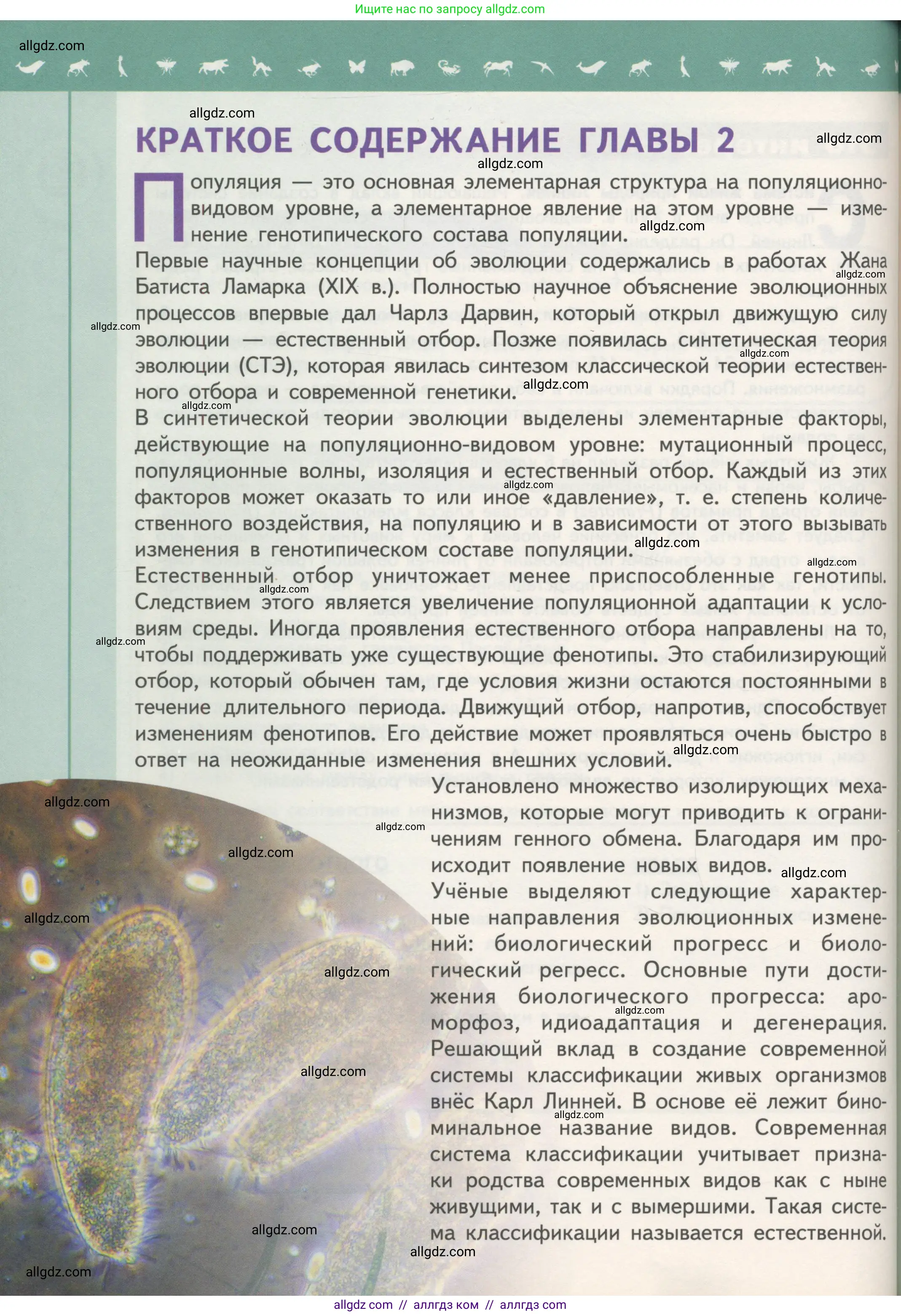 Биология, 11 класс Учебник, авторы: Пасечник Владимир Васильевич, Каменский Андрей Александрович, Рубцов Александр Михайлович, Швецов Глеб Геннадьевич, Гапонюк Зоя Георгиевна, издательство Просвещение, Москва, 2018, страница 132
