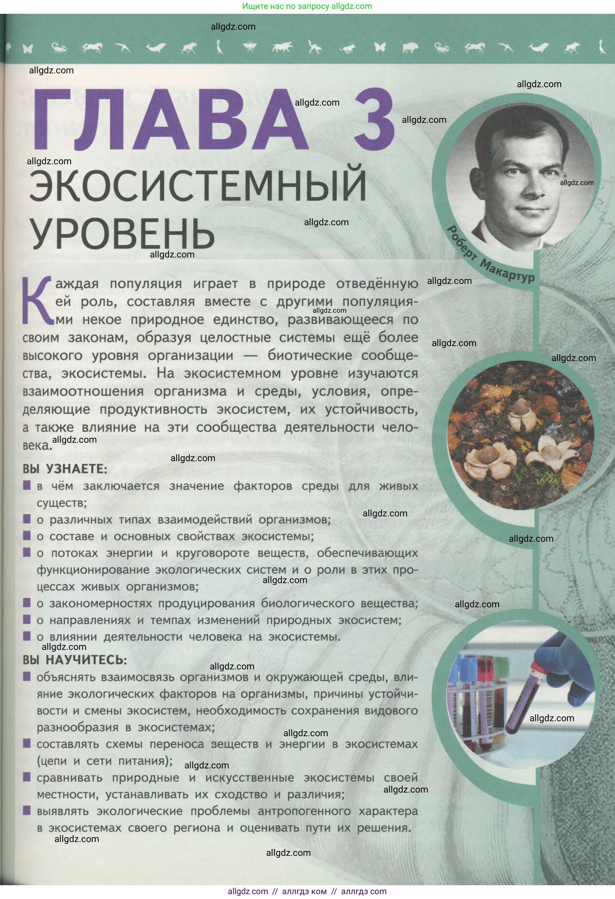 Биология, 11 класс Учебник, авторы: Пасечник Владимир Васильевич, Каменский Андрей Александрович, Рубцов Александр Михайлович, Швецов Глеб Геннадьевич, Гапонюк Зоя Георгиевна, издательство Просвещение, Москва, 2018, страница 133
