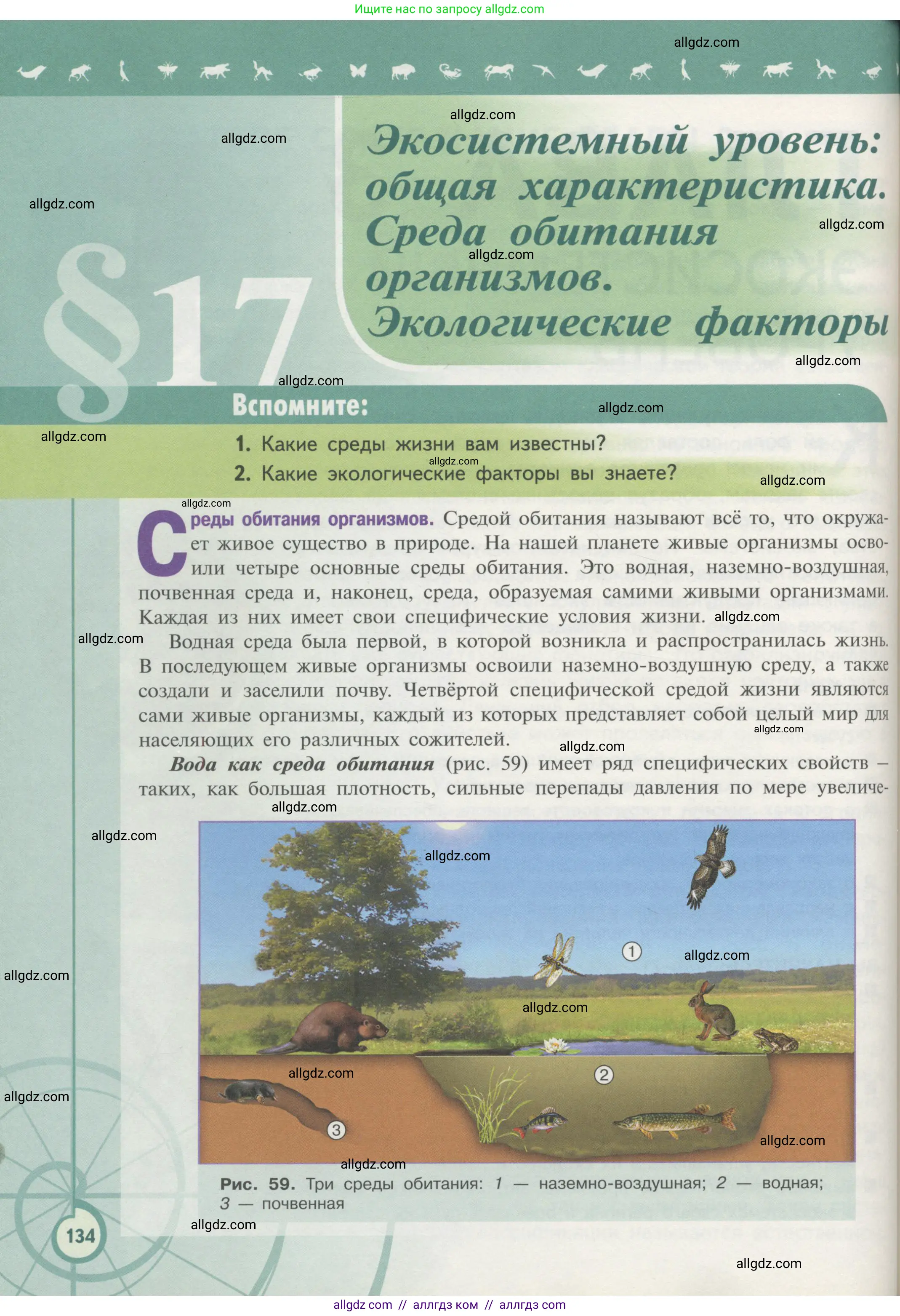 Биология, 11 класс Учебник, авторы: Пасечник Владимир Васильевич, Каменский Андрей Александрович, Рубцов Александр Михайлович, Швецов Глеб Геннадьевич, Гапонюк Зоя Георгиевна, издательство Просвещение, Москва, 2018, страница 134