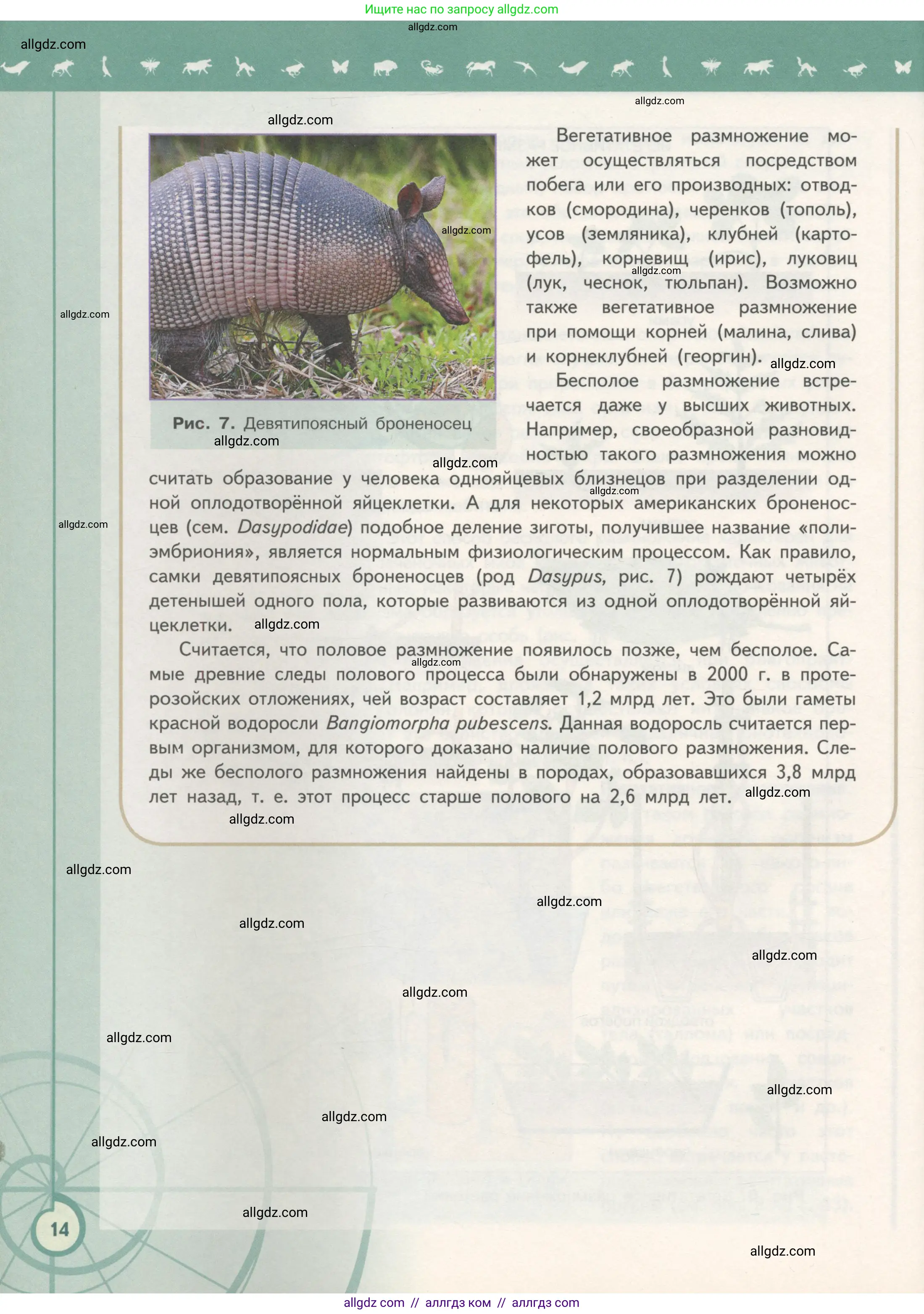 Биология, 11 класс Учебник, авторы: Пасечник Владимир Васильевич, Каменский Андрей Александрович, Рубцов Александр Михайлович, Швецов Глеб Геннадьевич, Гапонюк Зоя Георгиевна, издательство Просвещение, Москва, 2018, страница 14