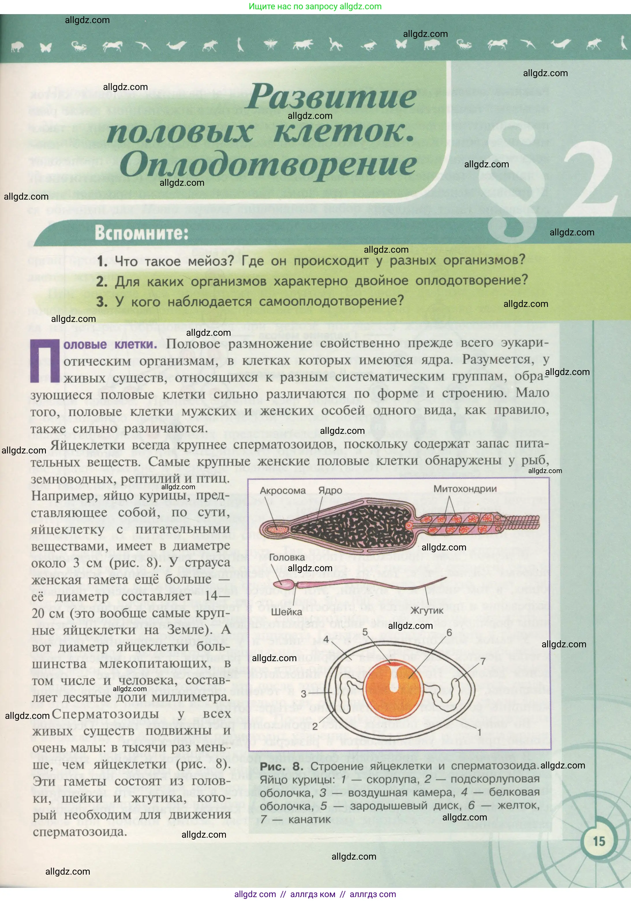 Биология, 11 класс Учебник, авторы: Пасечник Владимир Васильевич, Каменский Андрей Александрович, Рубцов Александр Михайлович, Швецов Глеб Геннадьевич, Гапонюк Зоя Георгиевна, издательство Просвещение, Москва, 2018, страница 15