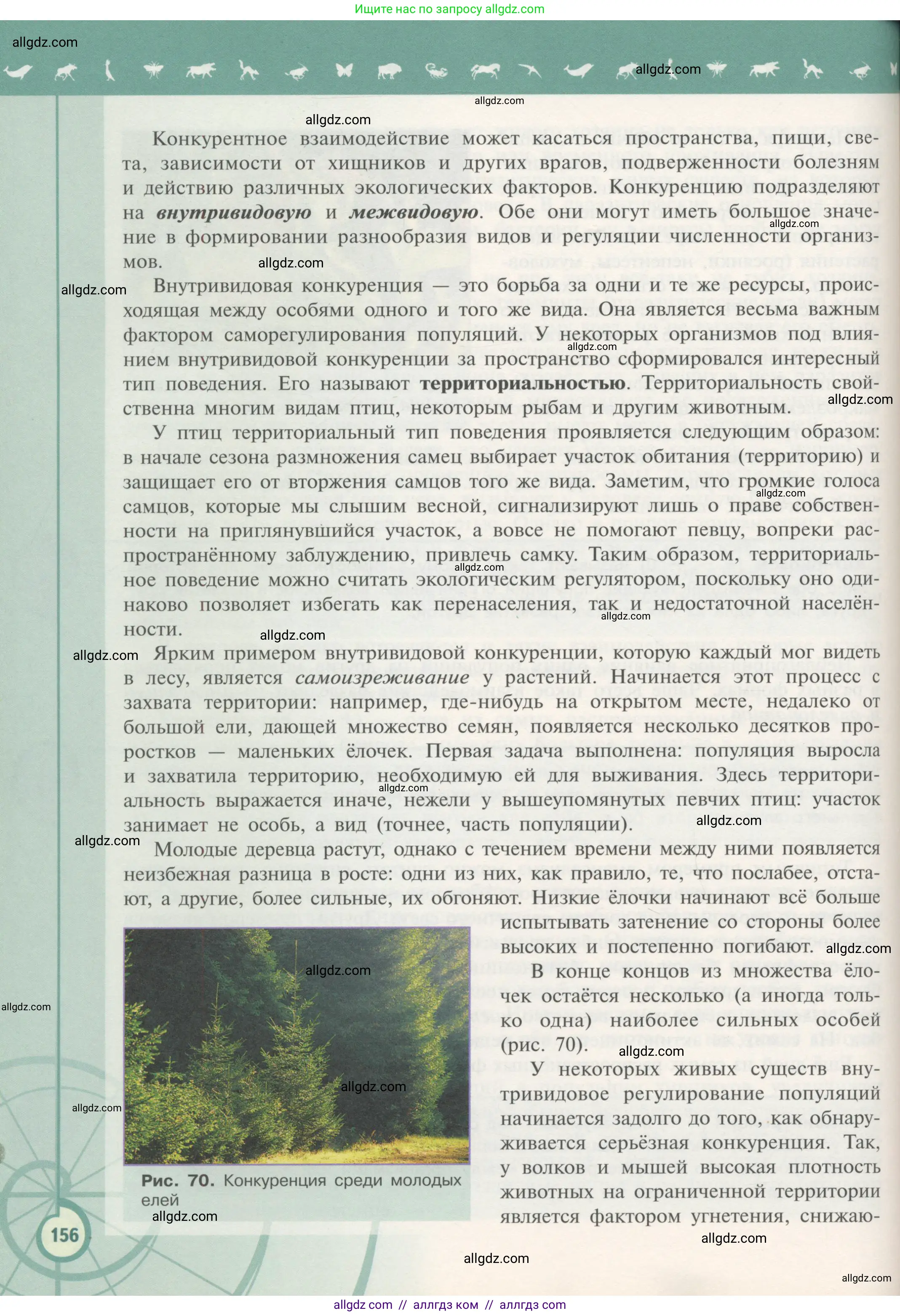 Биология, 11 класс Учебник, авторы: Пасечник Владимир Васильевич, Каменский Андрей Александрович, Рубцов Александр Михайлович, Швецов Глеб Геннадьевич, Гапонюк Зоя Георгиевна, издательство Просвещение, Москва, 2018, страница 156