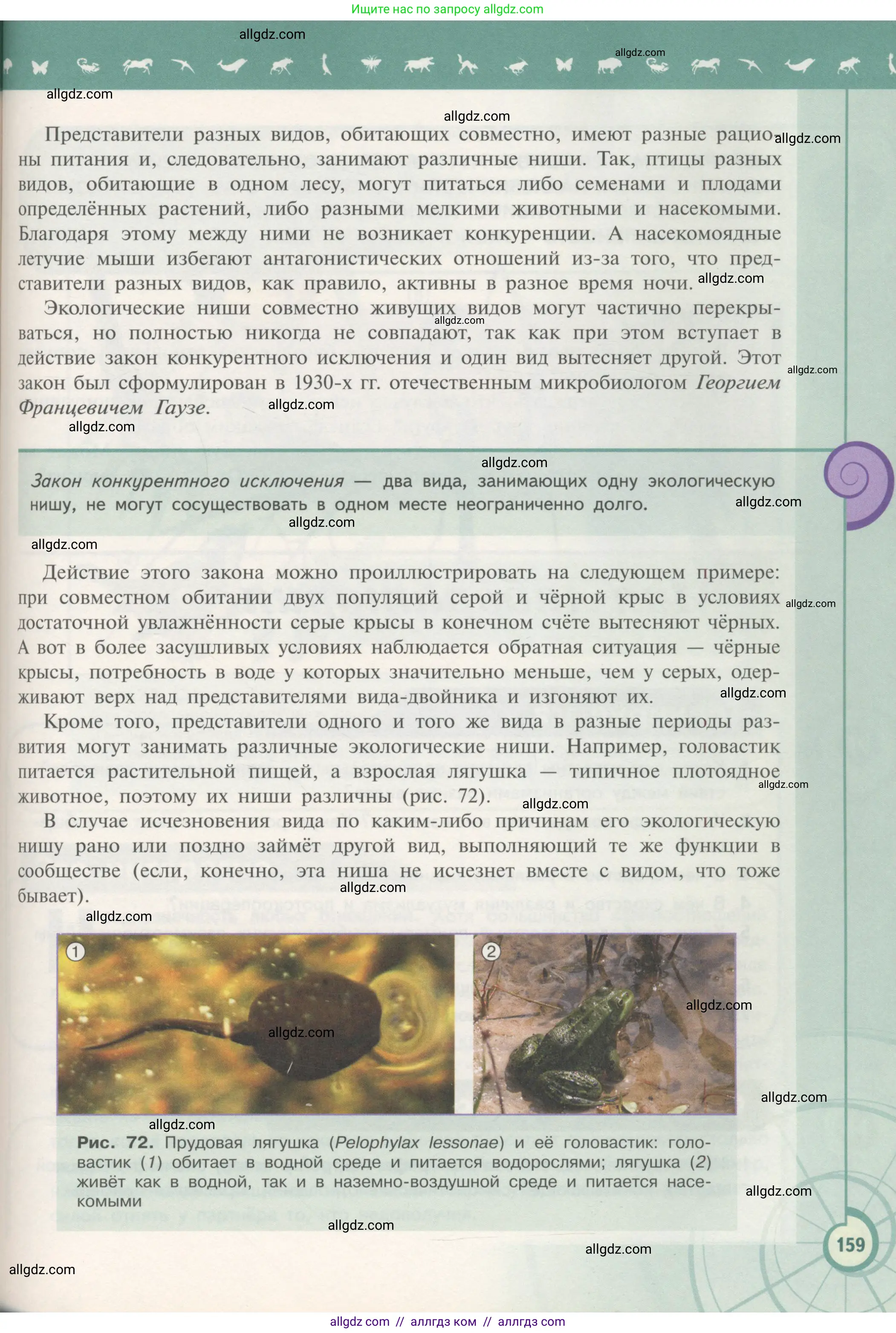 Биология, 11 класс Учебник, авторы: Пасечник Владимир Васильевич, Каменский Андрей Александрович, Рубцов Александр Михайлович, Швецов Глеб Геннадьевич, Гапонюк Зоя Георгиевна, издательство Просвещение, Москва, 2018, страница 159