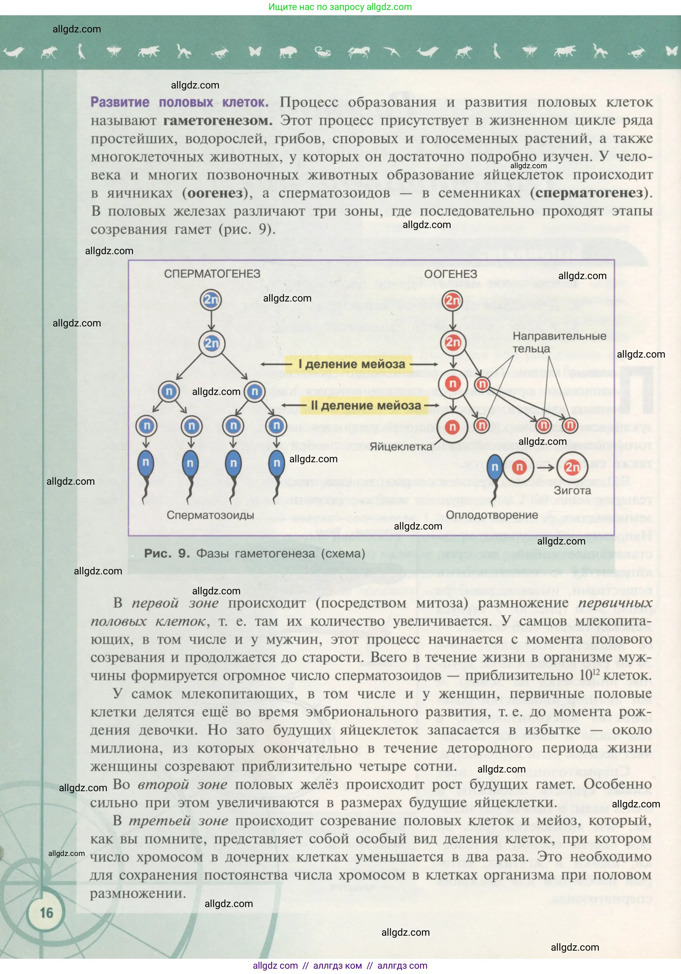 Биология, 11 класс Учебник, авторы: Пасечник Владимир Васильевич, Каменский Андрей Александрович, Рубцов Александр Михайлович, Швецов Глеб Геннадьевич, Гапонюк Зоя Георгиевна, издательство Просвещение, Москва, 2018, страница 16