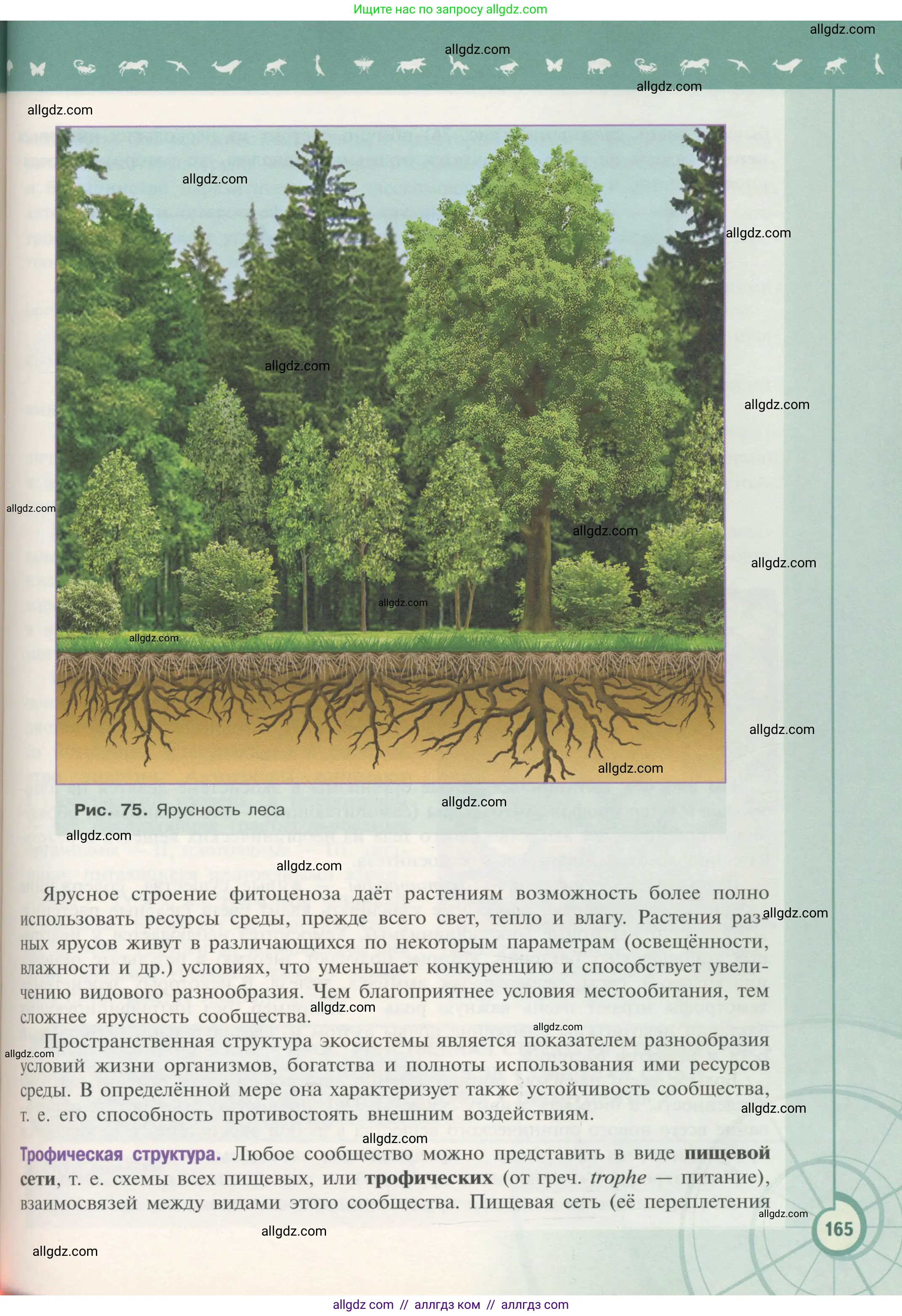 Биология, 11 класс Учебник, авторы: Пасечник Владимир Васильевич, Каменский Андрей Александрович, Рубцов Александр Михайлович, Швецов Глеб Геннадьевич, Гапонюк Зоя Георгиевна, издательство Просвещение, Москва, 2018, страница 165