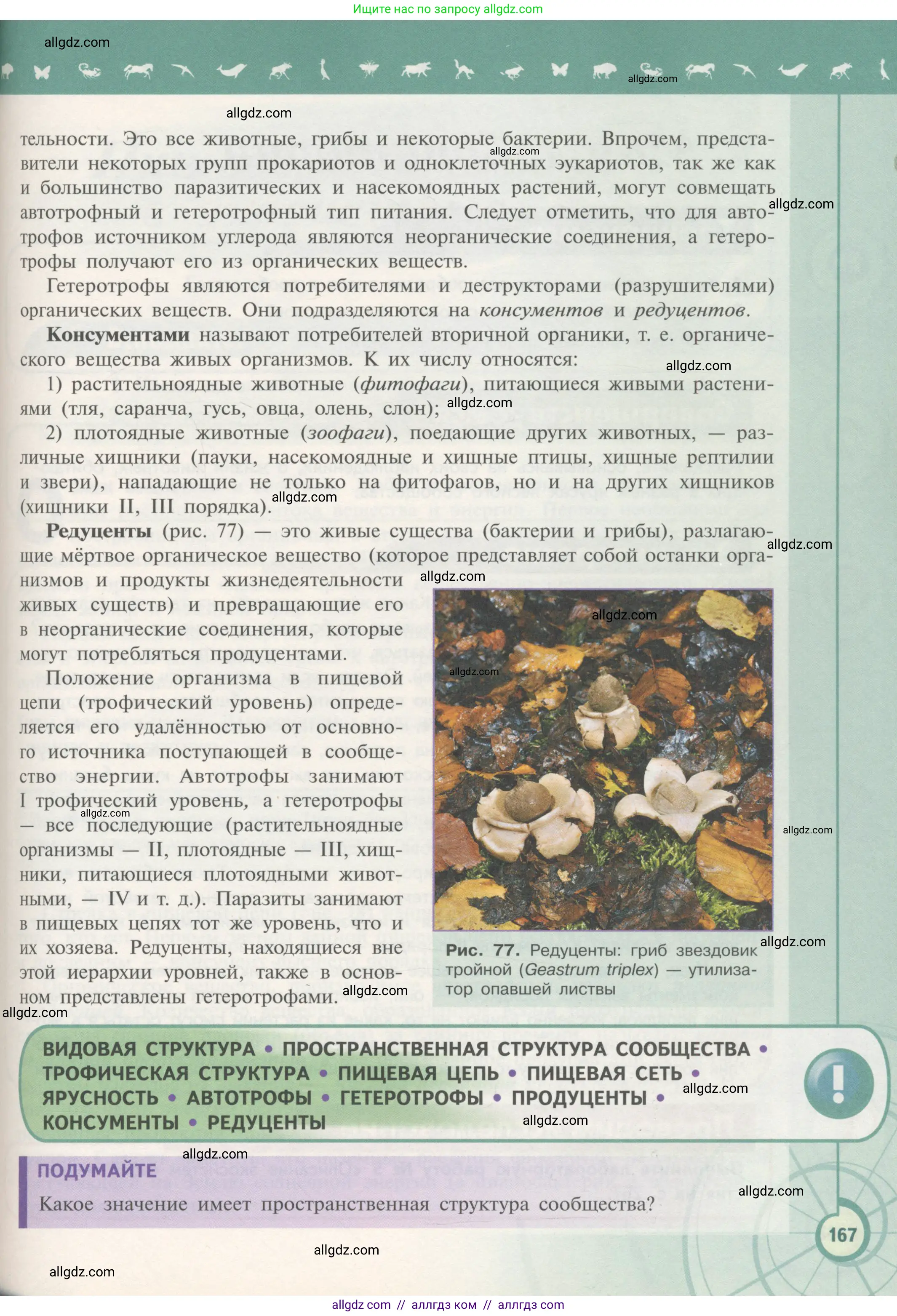 Биология, 11 класс Учебник, авторы: Пасечник Владимир Васильевич, Каменский Андрей Александрович, Рубцов Александр Михайлович, Швецов Глеб Геннадьевич, Гапонюк Зоя Георгиевна, издательство Просвещение, Москва, 2018, страница 167